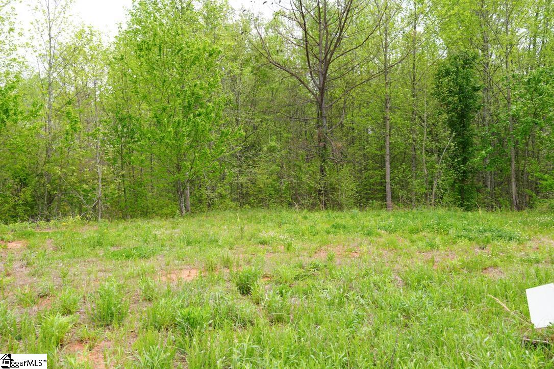 302 Oglesby Creek, Boiling Springs, South Carolina image 22
