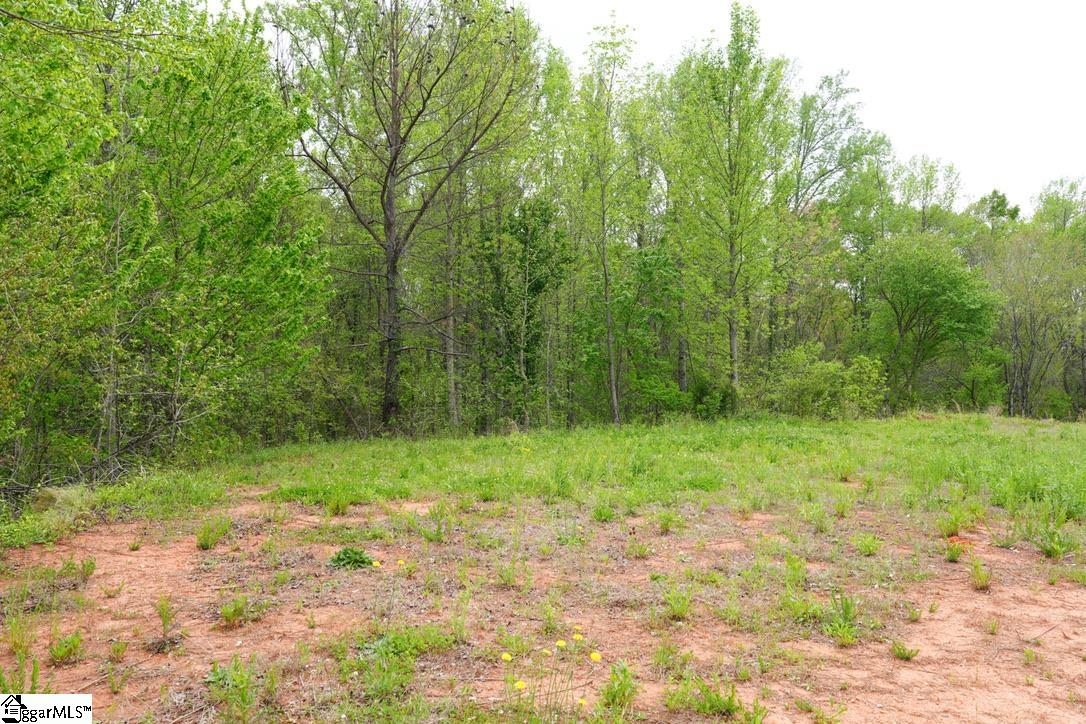 302 Oglesby Creek, Boiling Springs, South Carolina image 26