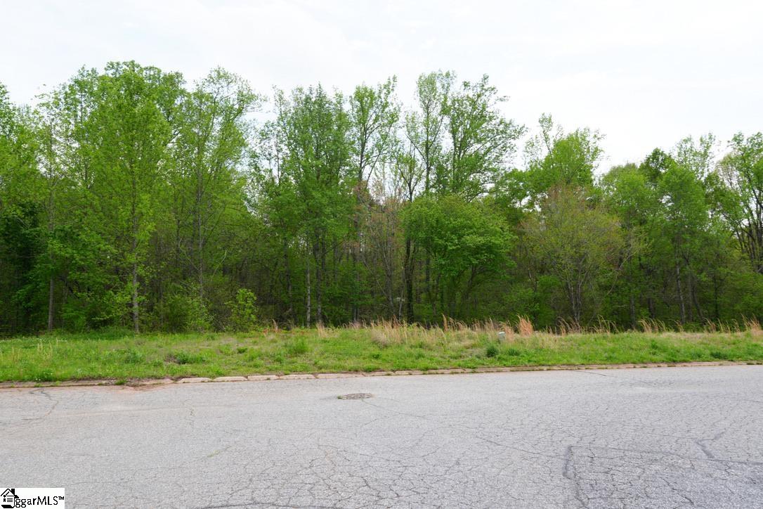 302 Oglesby Creek, Boiling Springs, South Carolina image 32