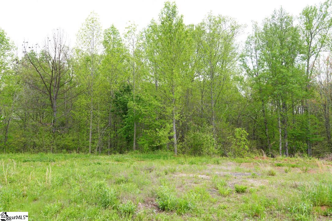 302 Oglesby Creek, Boiling Springs, South Carolina image 34