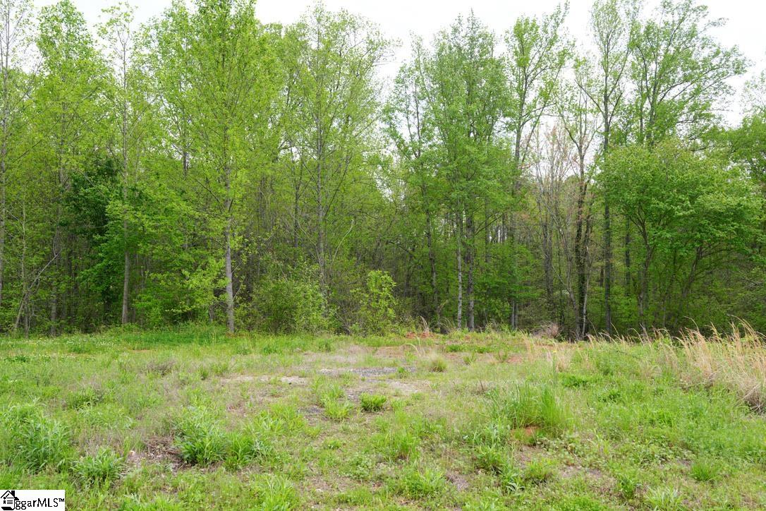 302 Oglesby Creek, Boiling Springs, South Carolina image 35