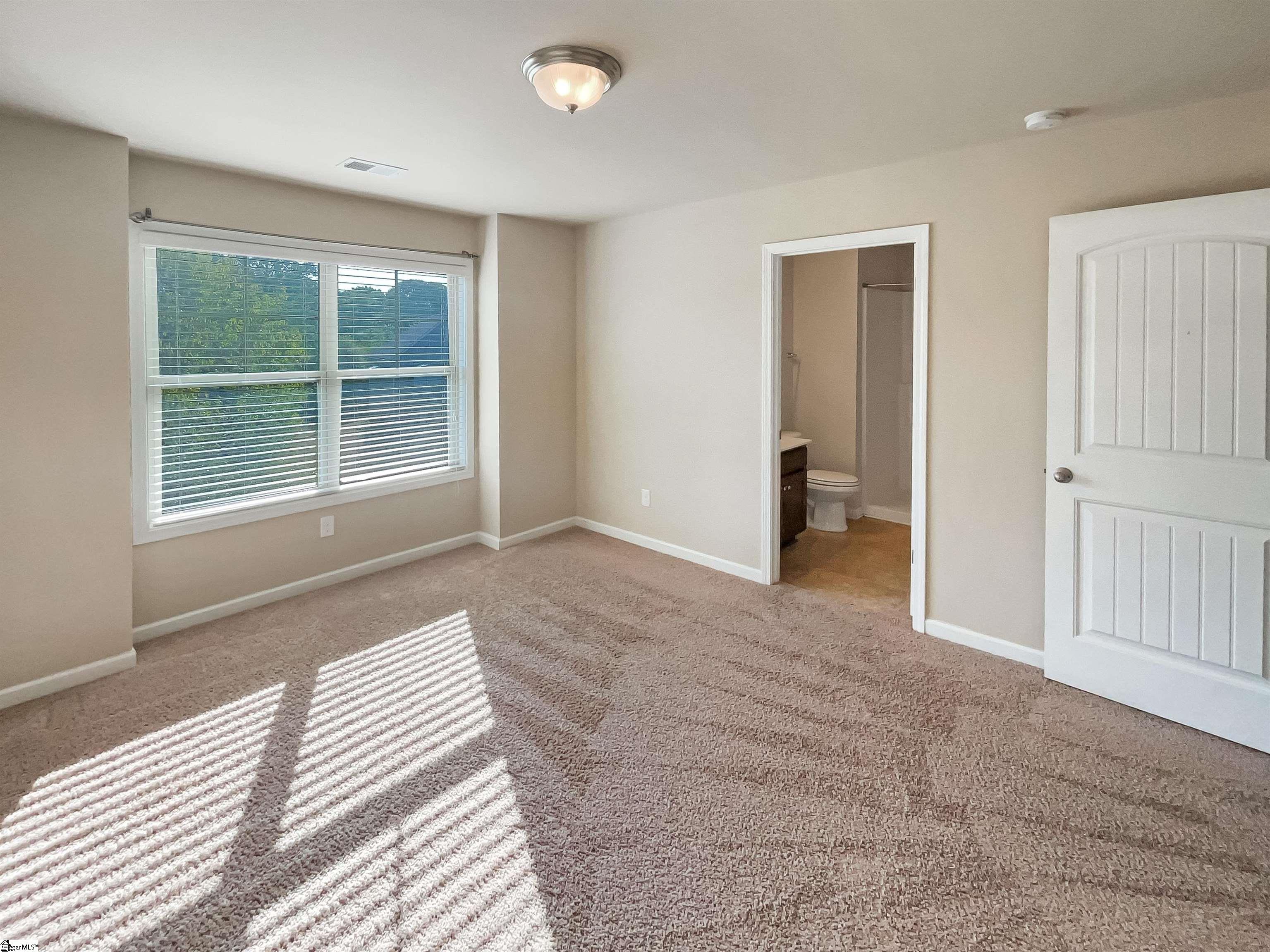 208 Moonstone, Duncan, South Carolina image 18