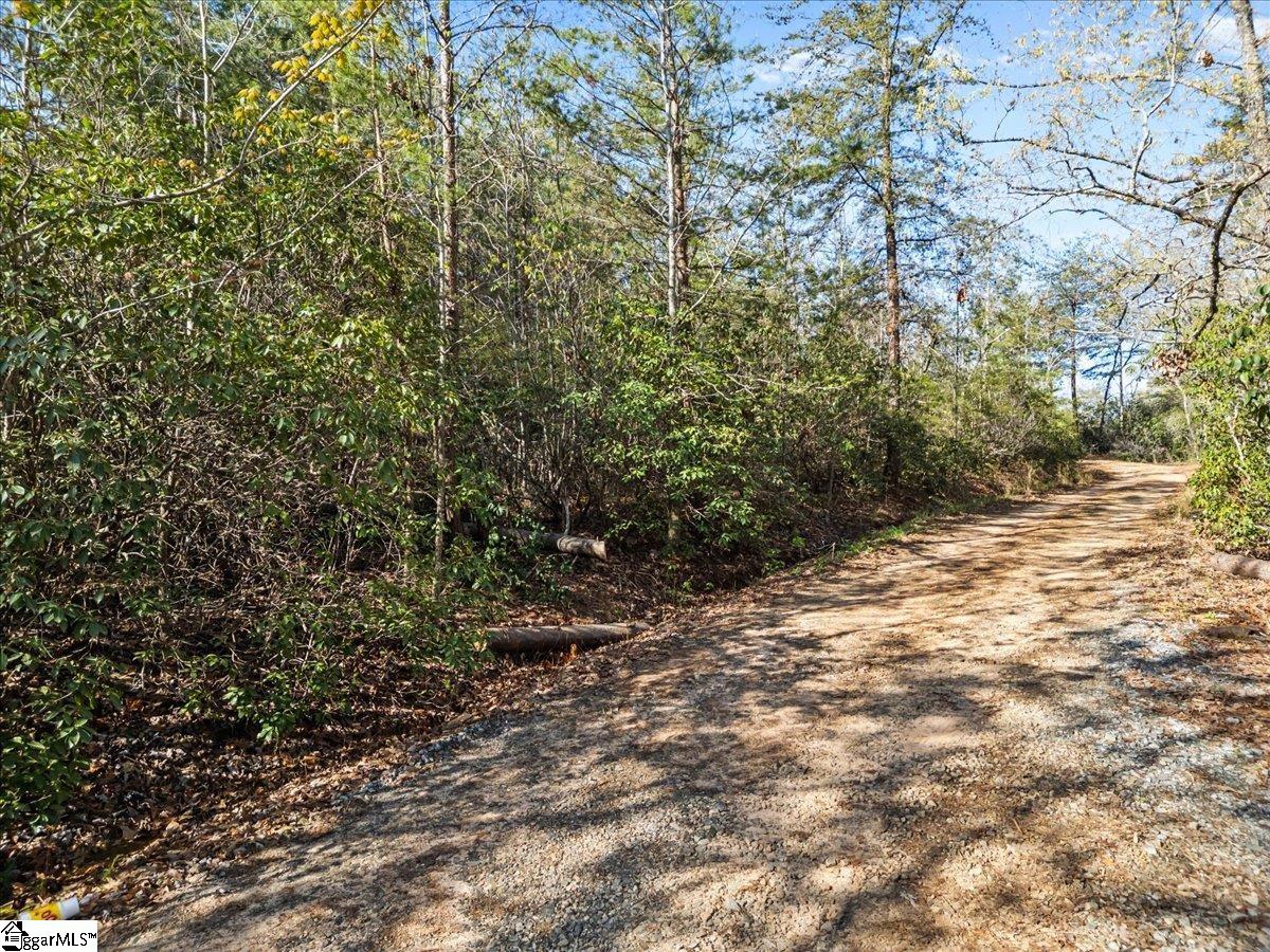00 Red Bird Hill, Pickens, South Carolina image 2