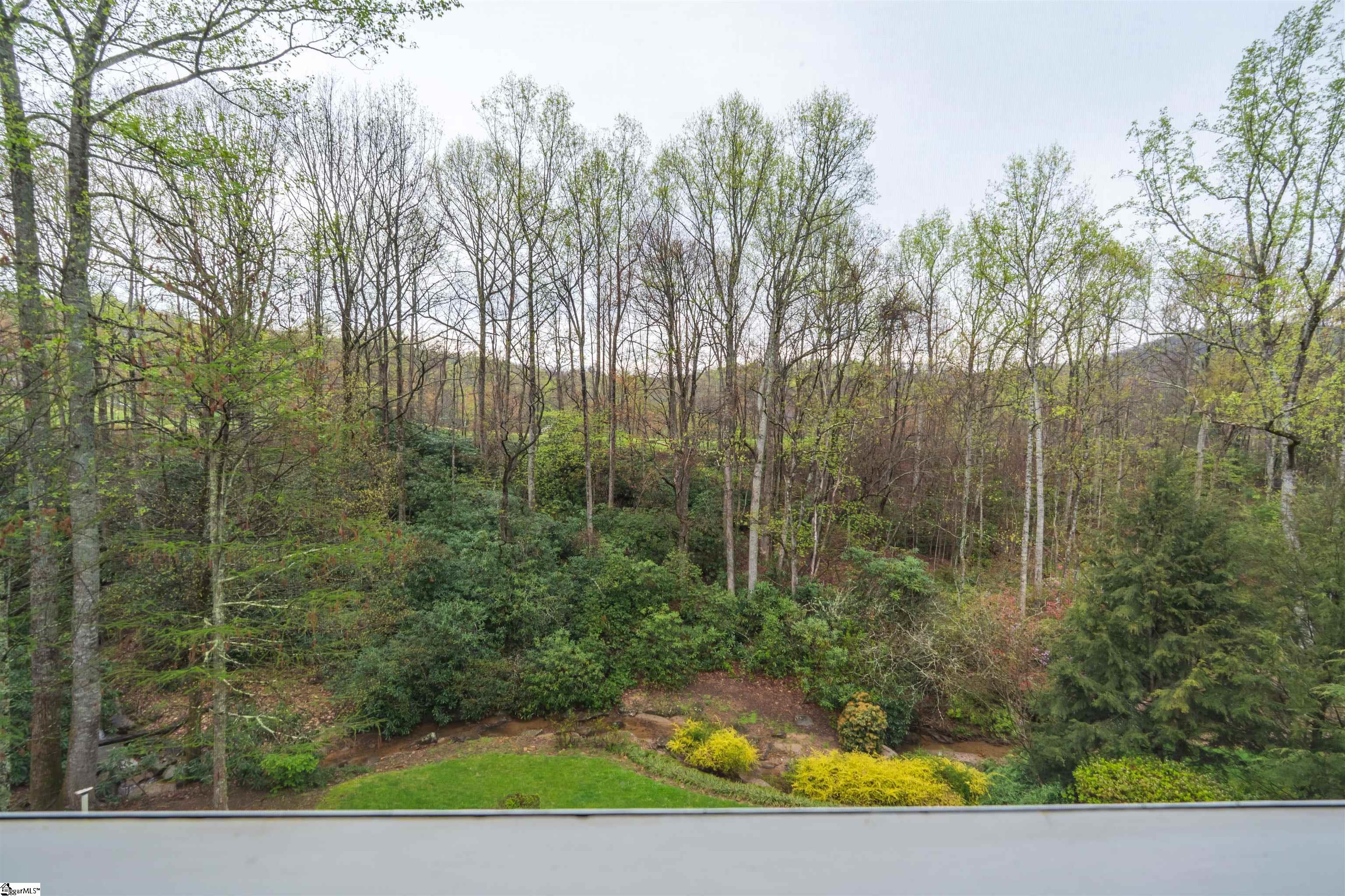 8 Rustic, Landrum, South Carolina image 43