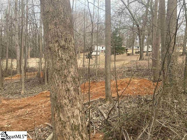 159 Rockingham, Duncan, South Carolina image 2