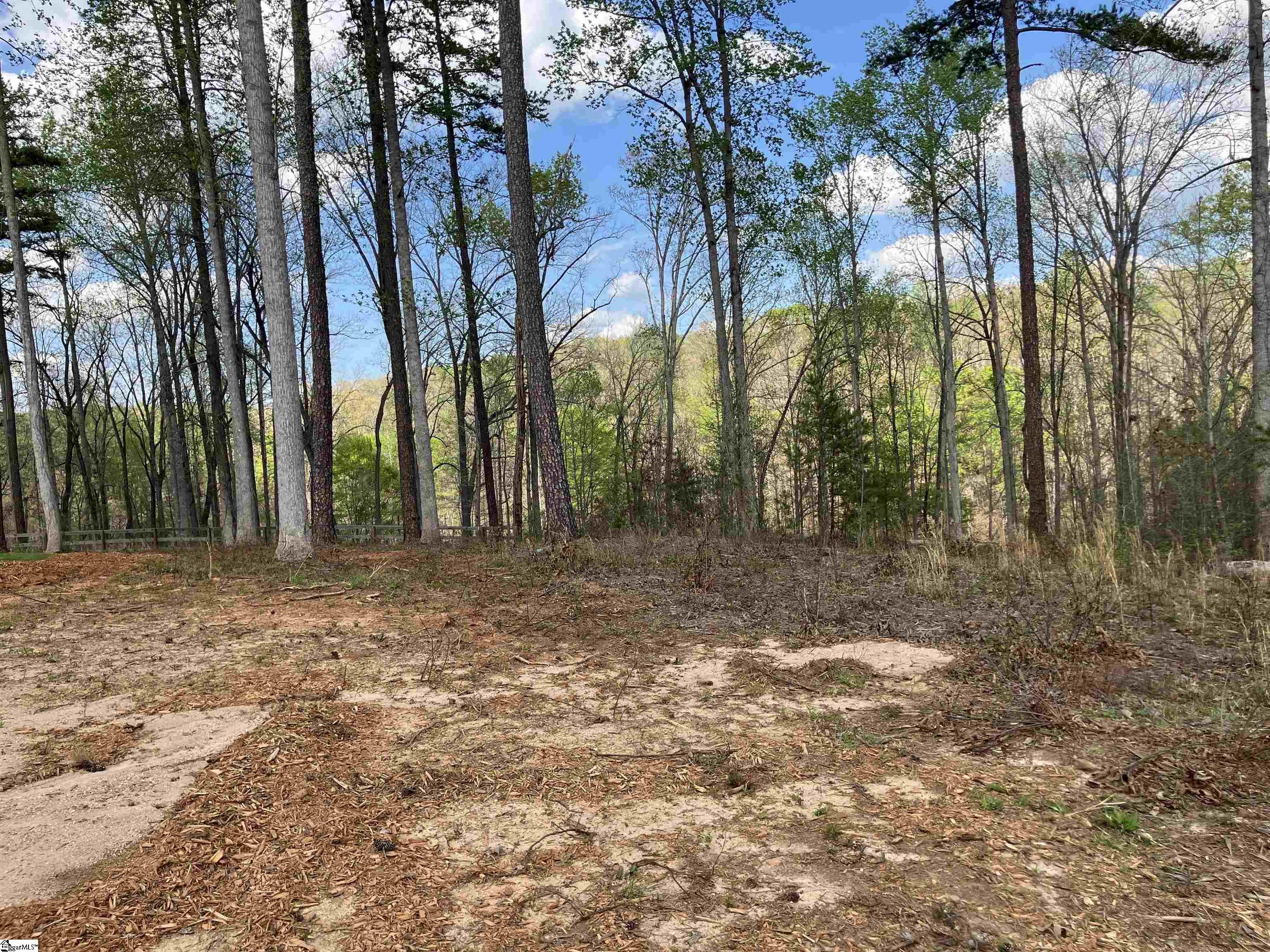 Sun Pointe, West Union, South Carolina image 11