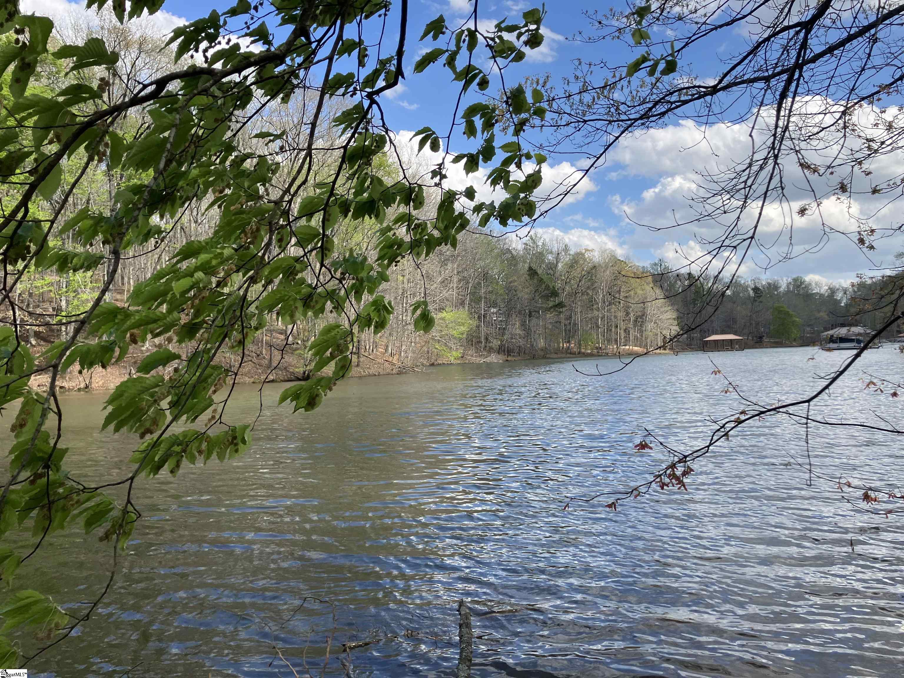 Sun Pointe, West Union, South Carolina image 17