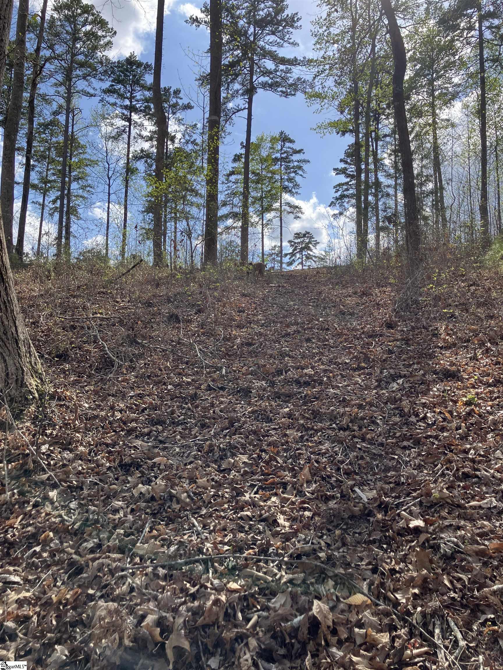 Sun Pointe, West Union, South Carolina image 22