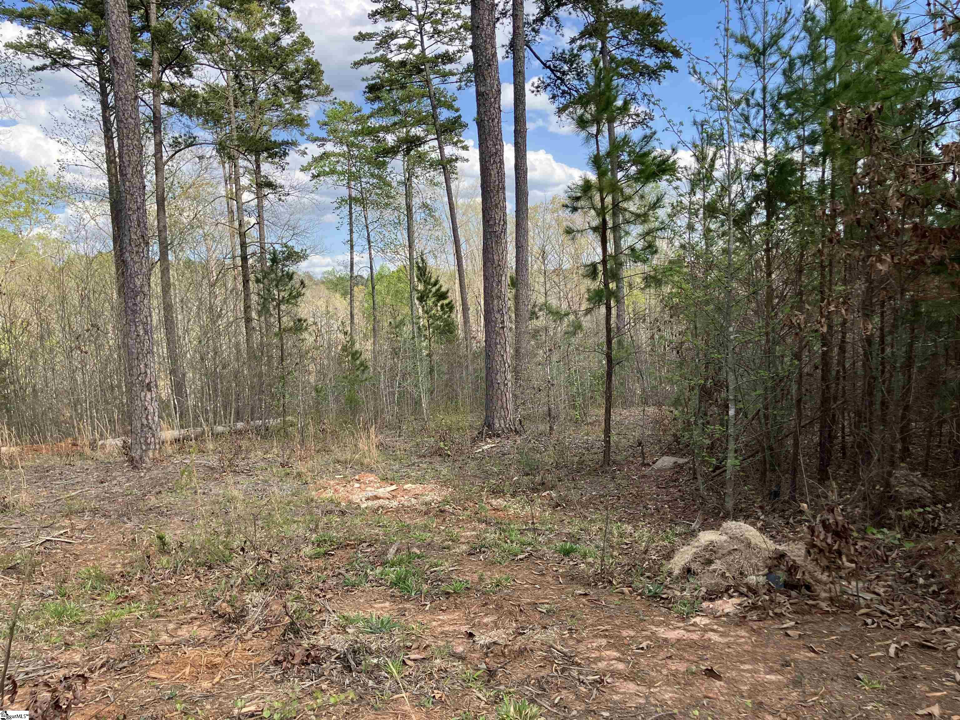 Sun Pointe, West Union, South Carolina image 25