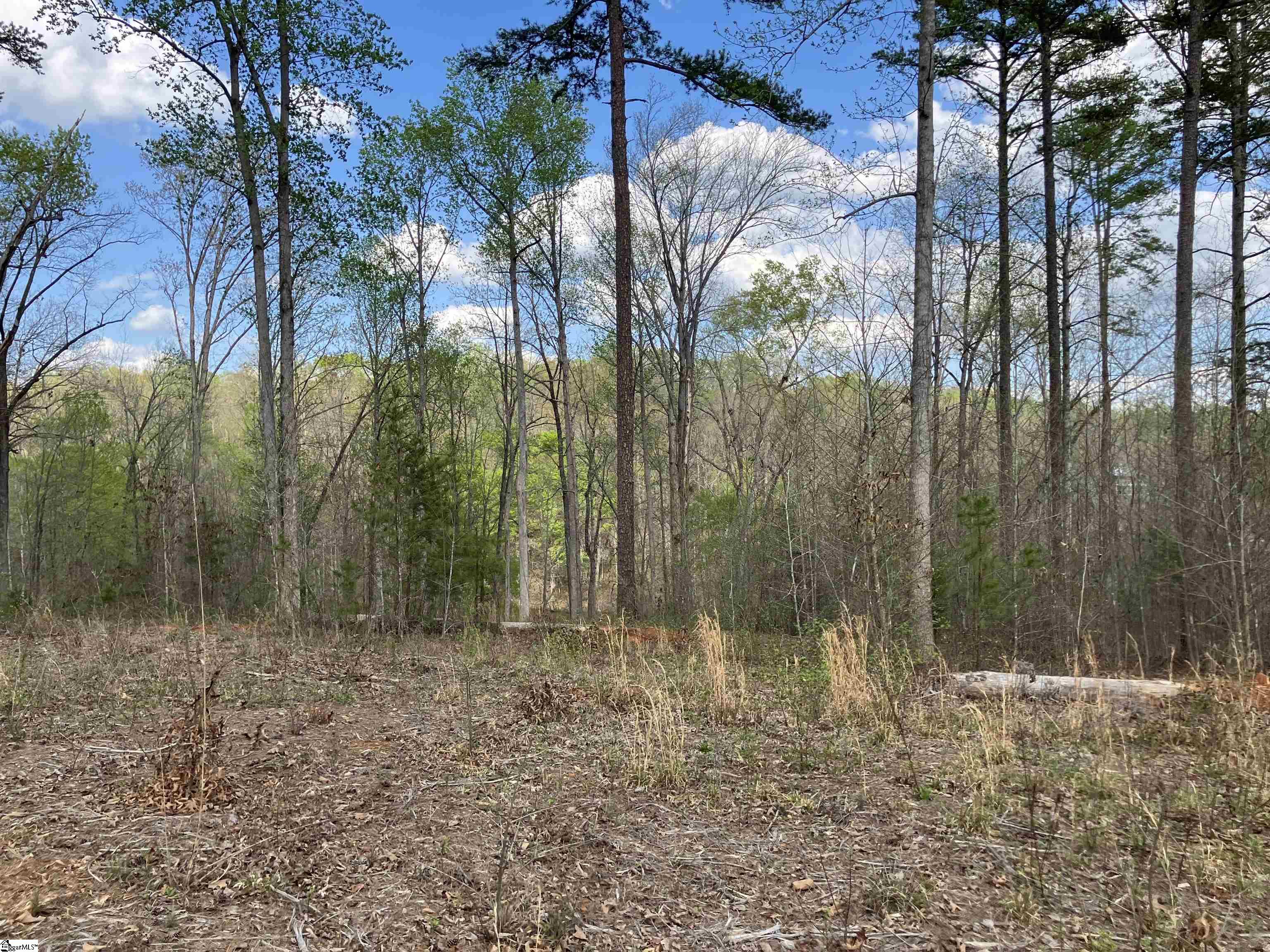 Sun Pointe, West Union, South Carolina image 26