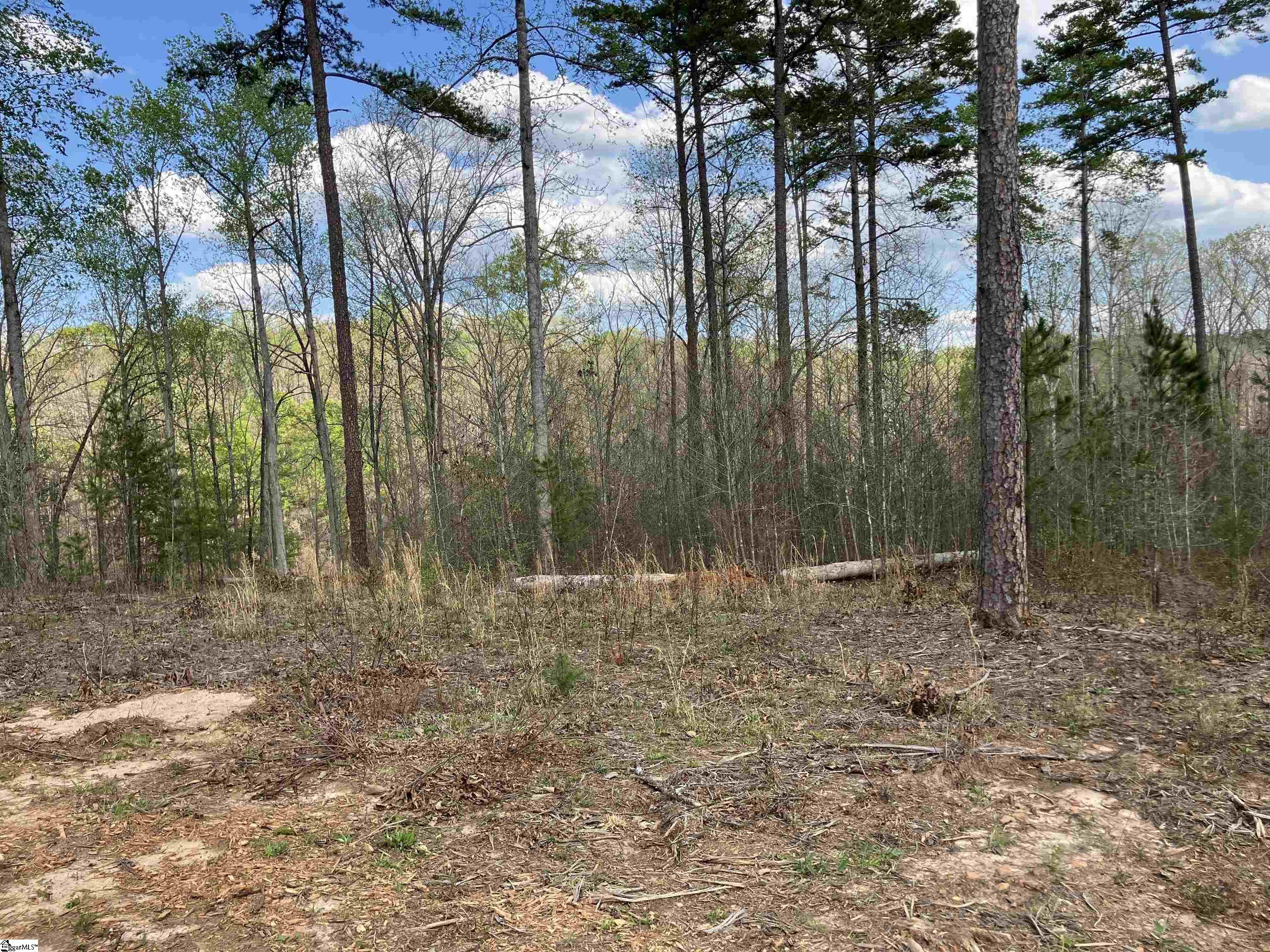 Sun Pointe, West Union, South Carolina image 27