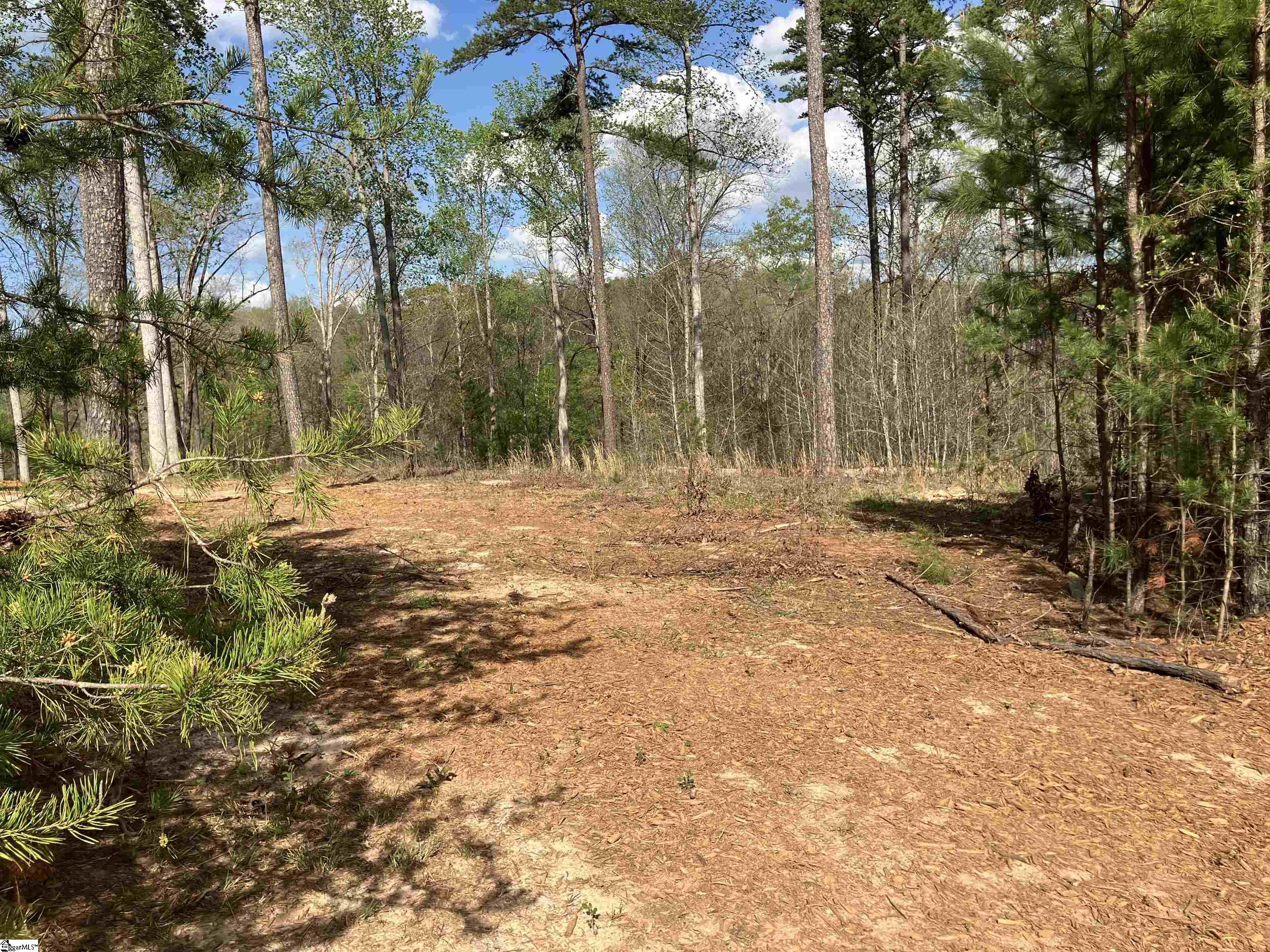 Sun Pointe, West Union, South Carolina image 9