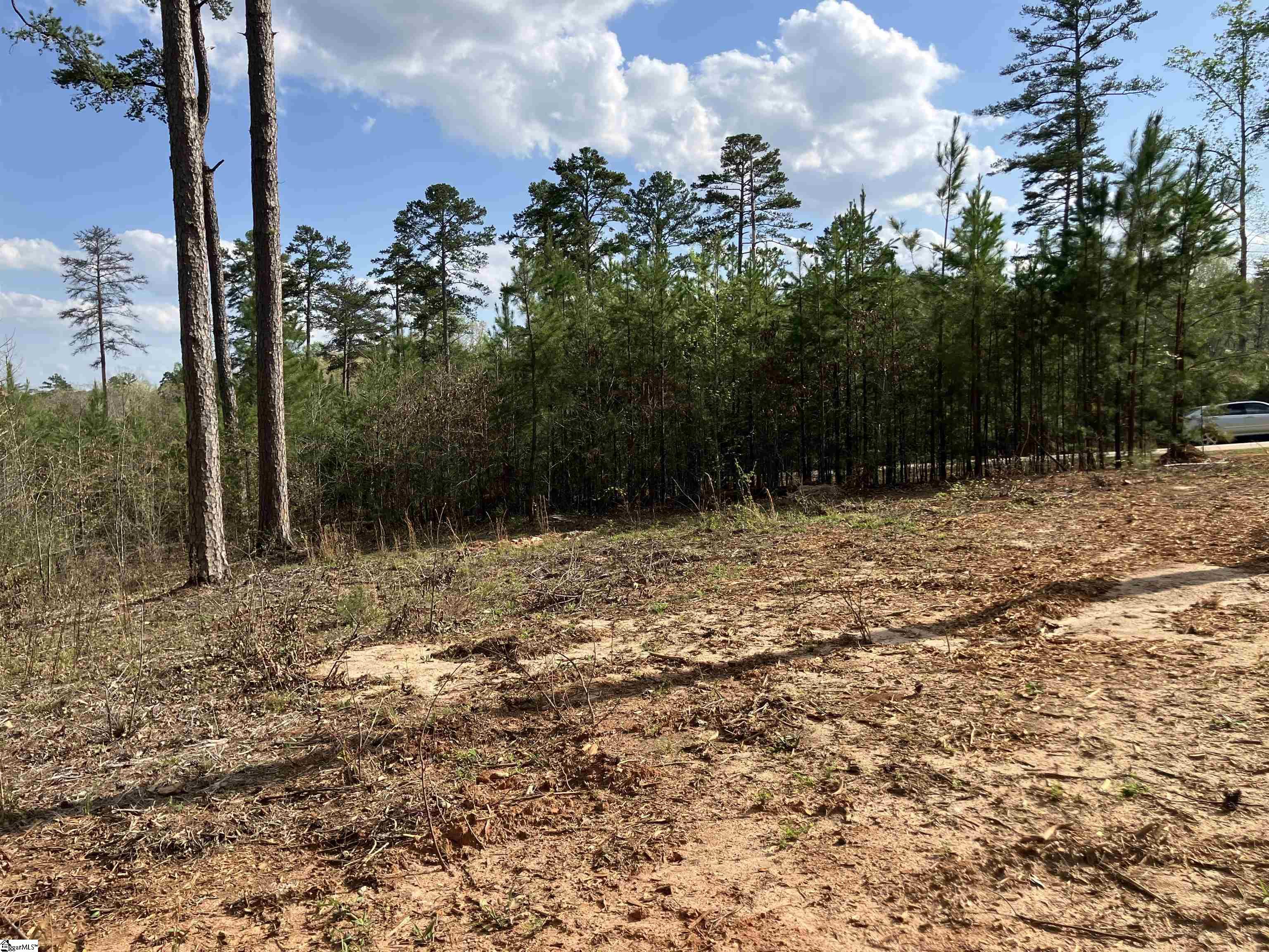Sun Pointe, West Union, South Carolina image 10