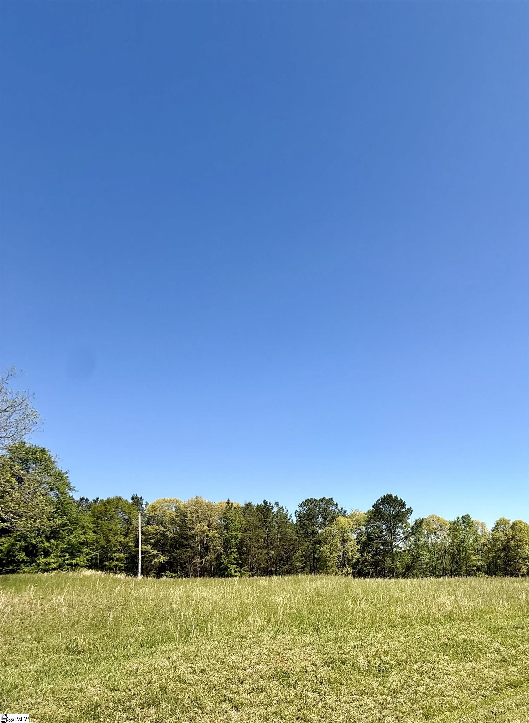 Belue, Greer, South Carolina image 2