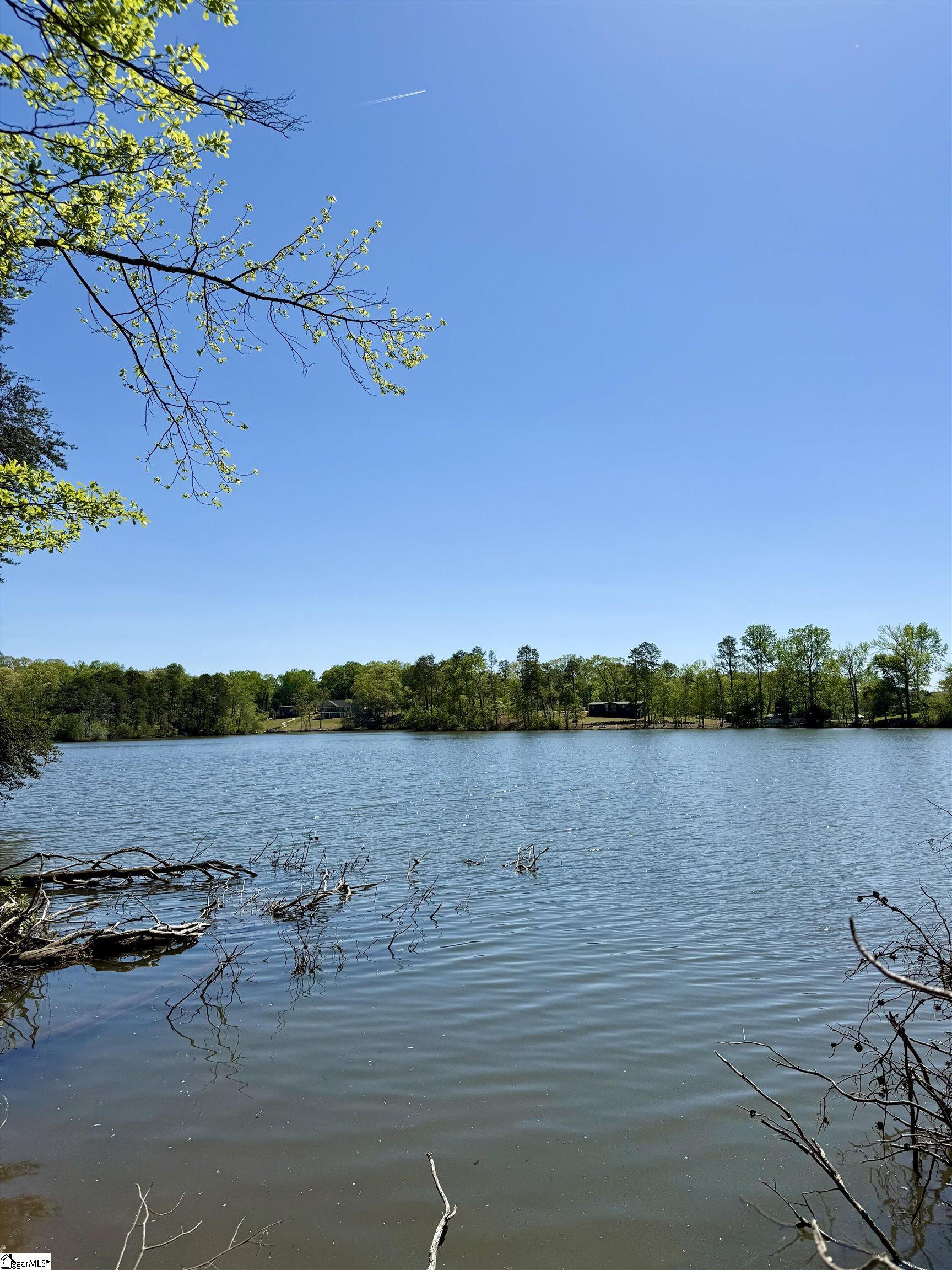 Belue, Greer, South Carolina image 11