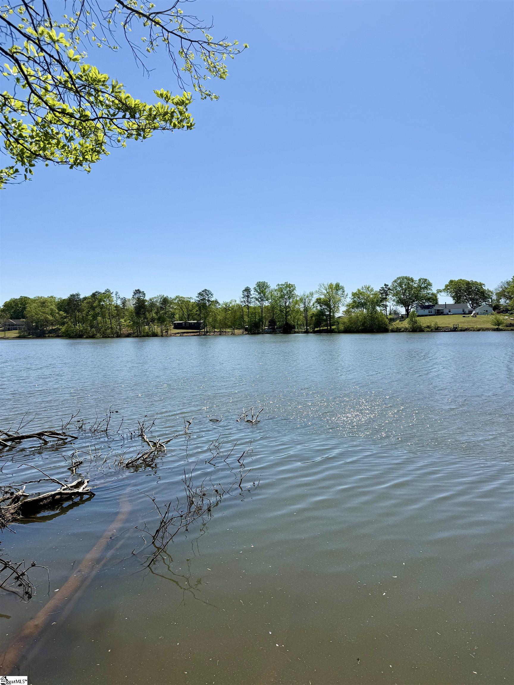 Belue, Greer, South Carolina image 12