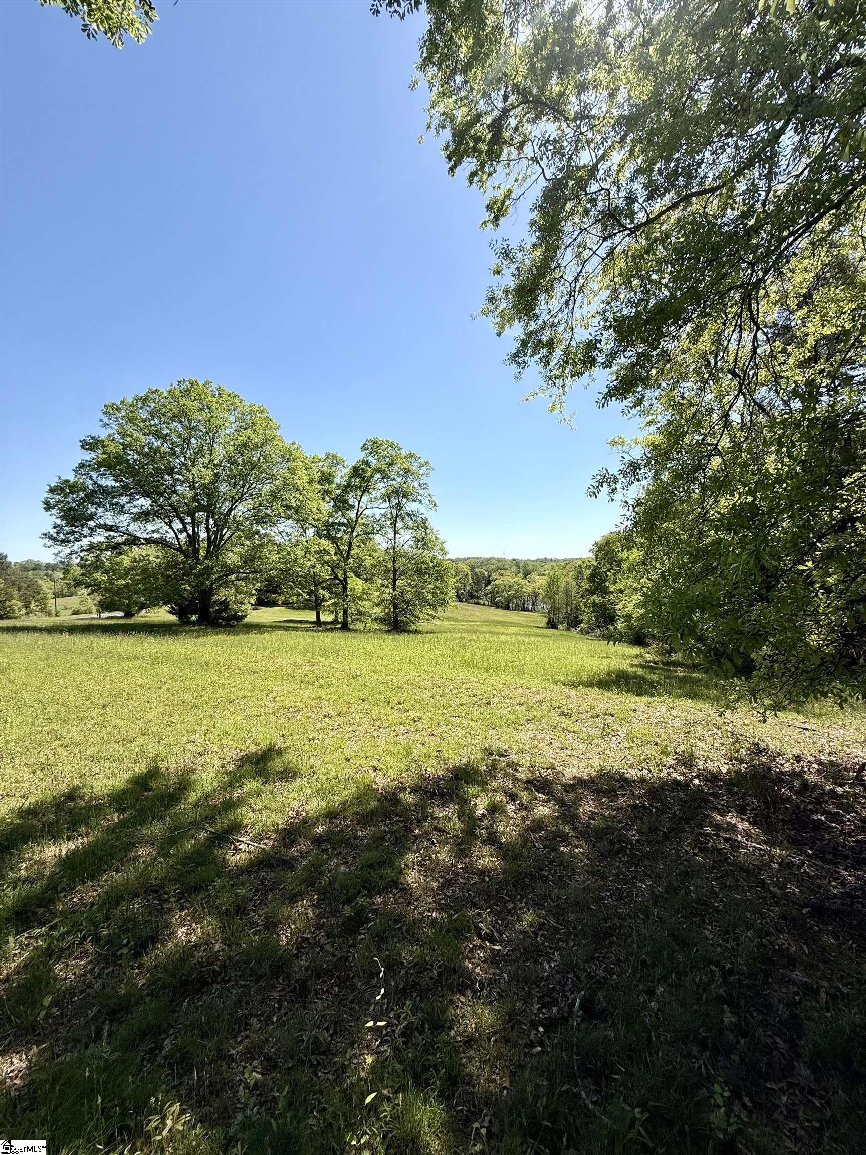 Belue, Greer, South Carolina image 3