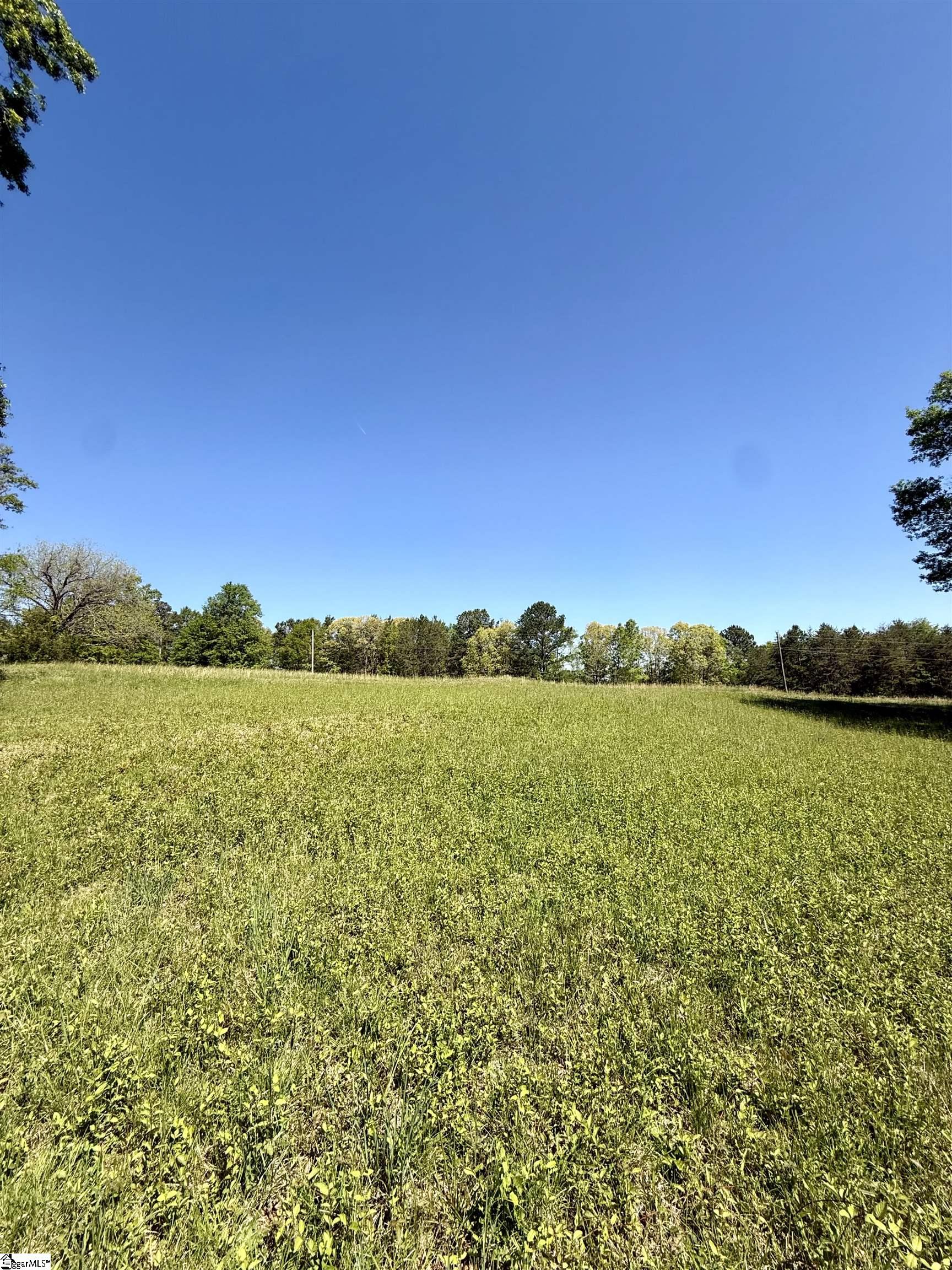 Belue, Greer, South Carolina image 4