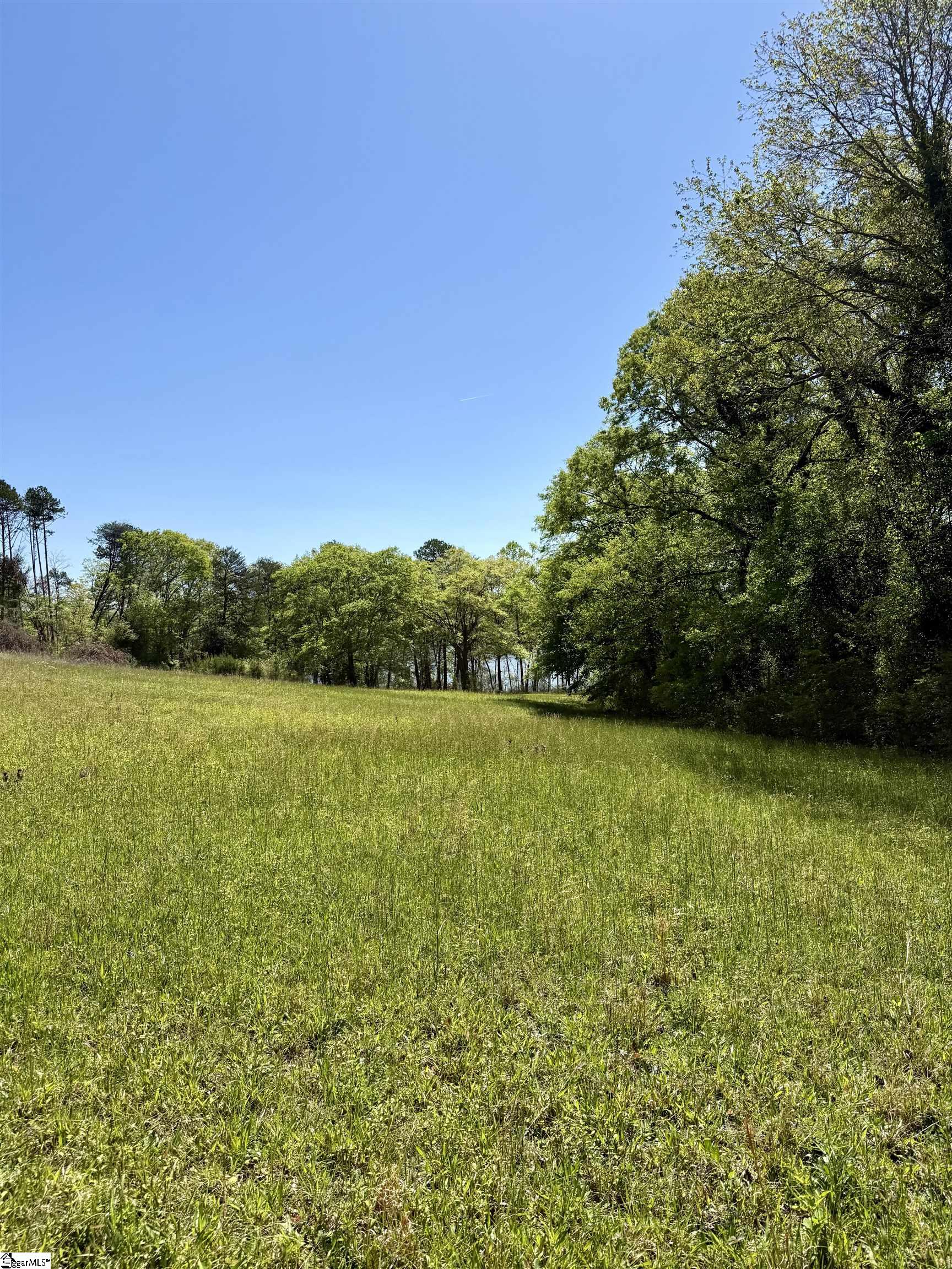 Belue, Greer, South Carolina image 6