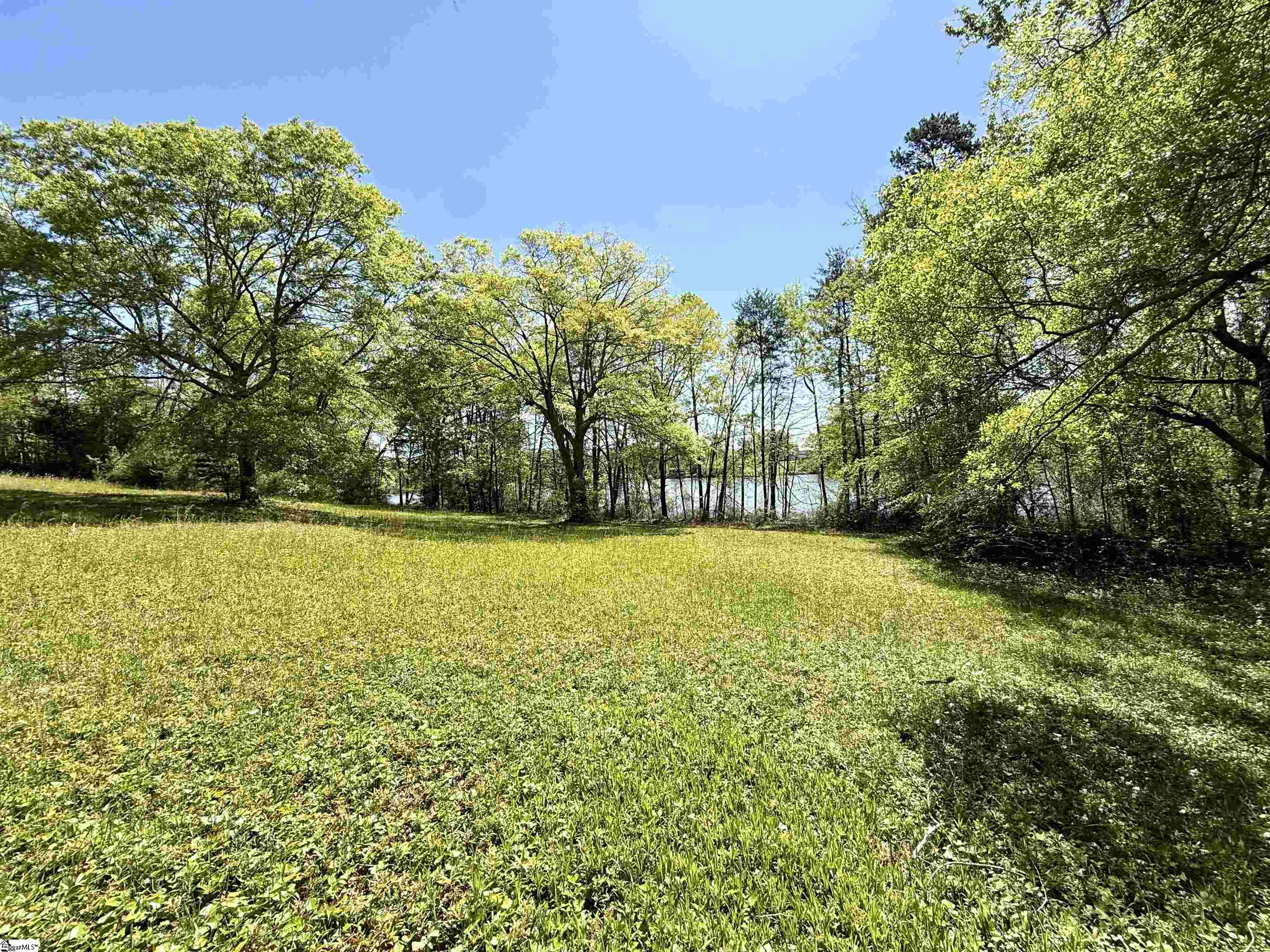 Belue, Greer, South Carolina image 7