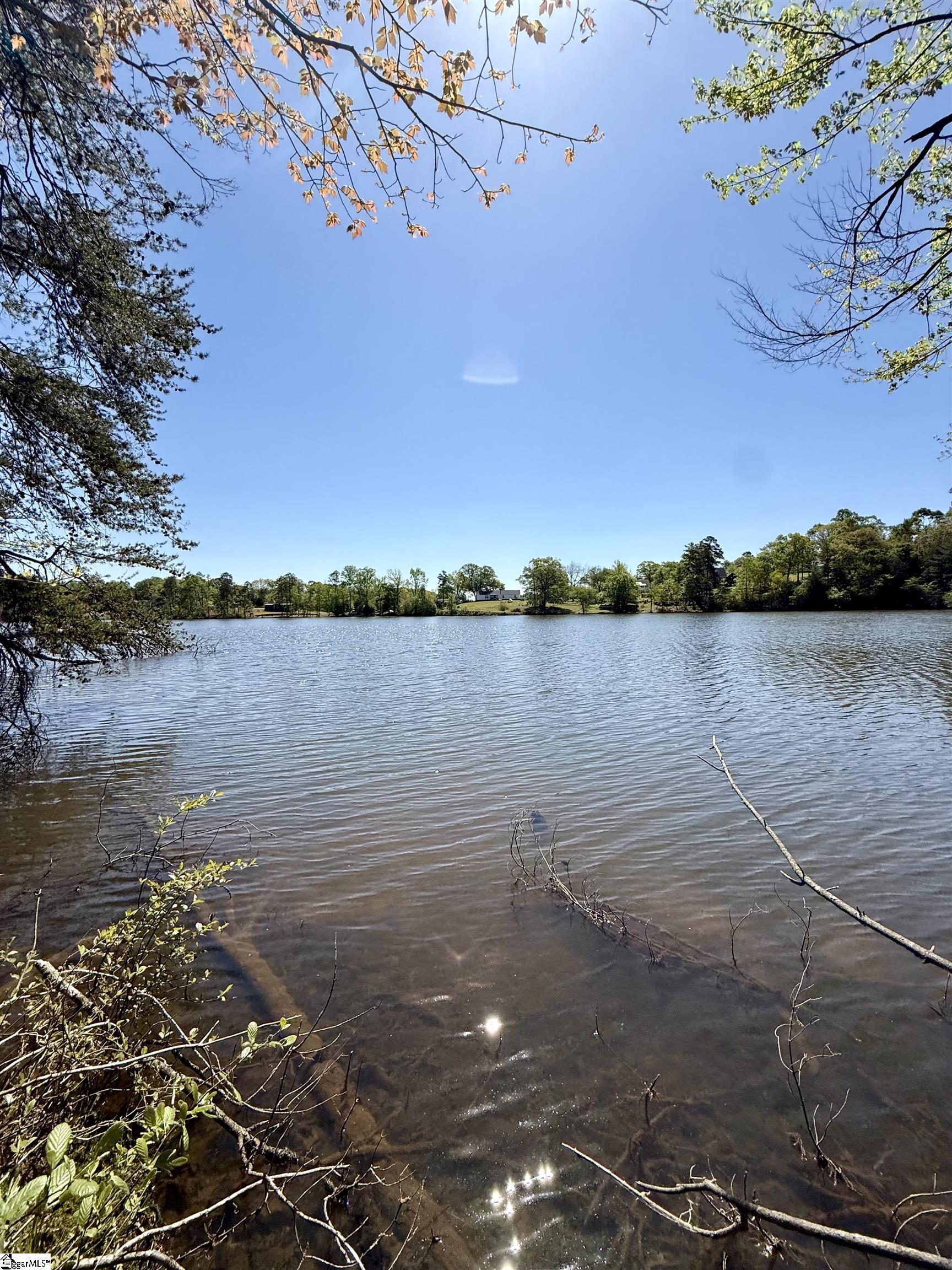 Belue, Greer, South Carolina image 9