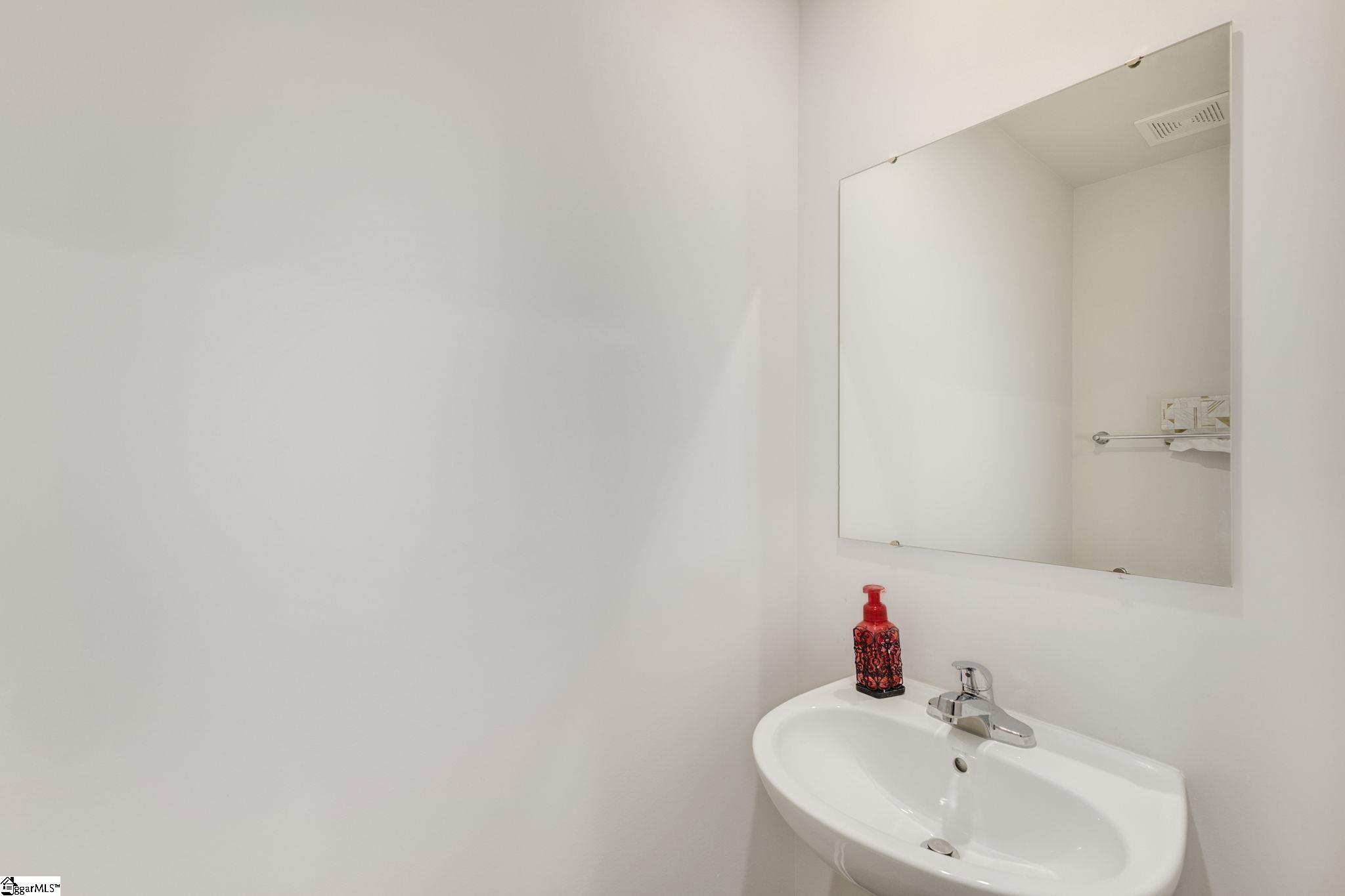 308 Cinerea, Greer, South Carolina image 15
