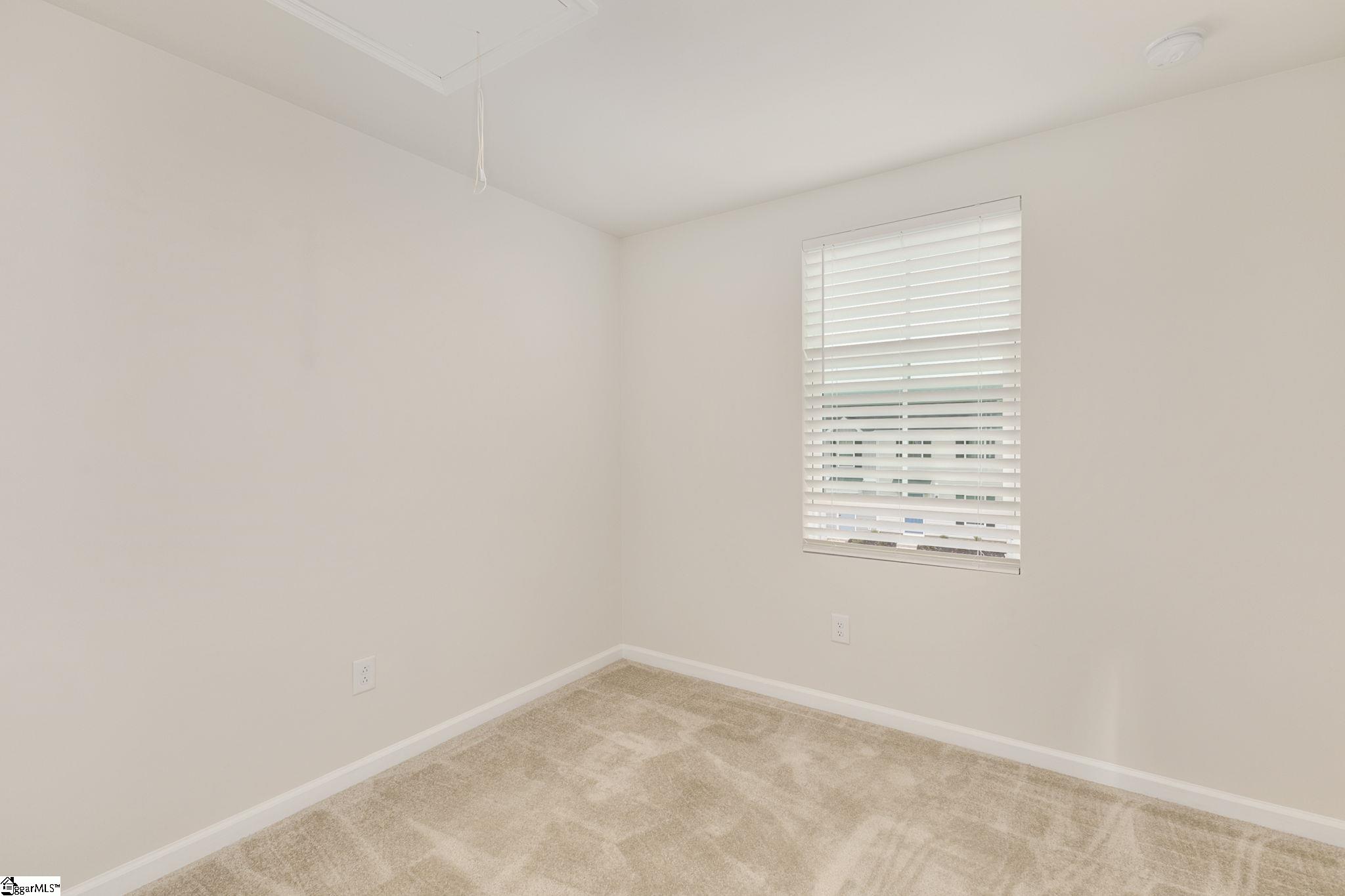 308 Cinerea, Greer, South Carolina image 23