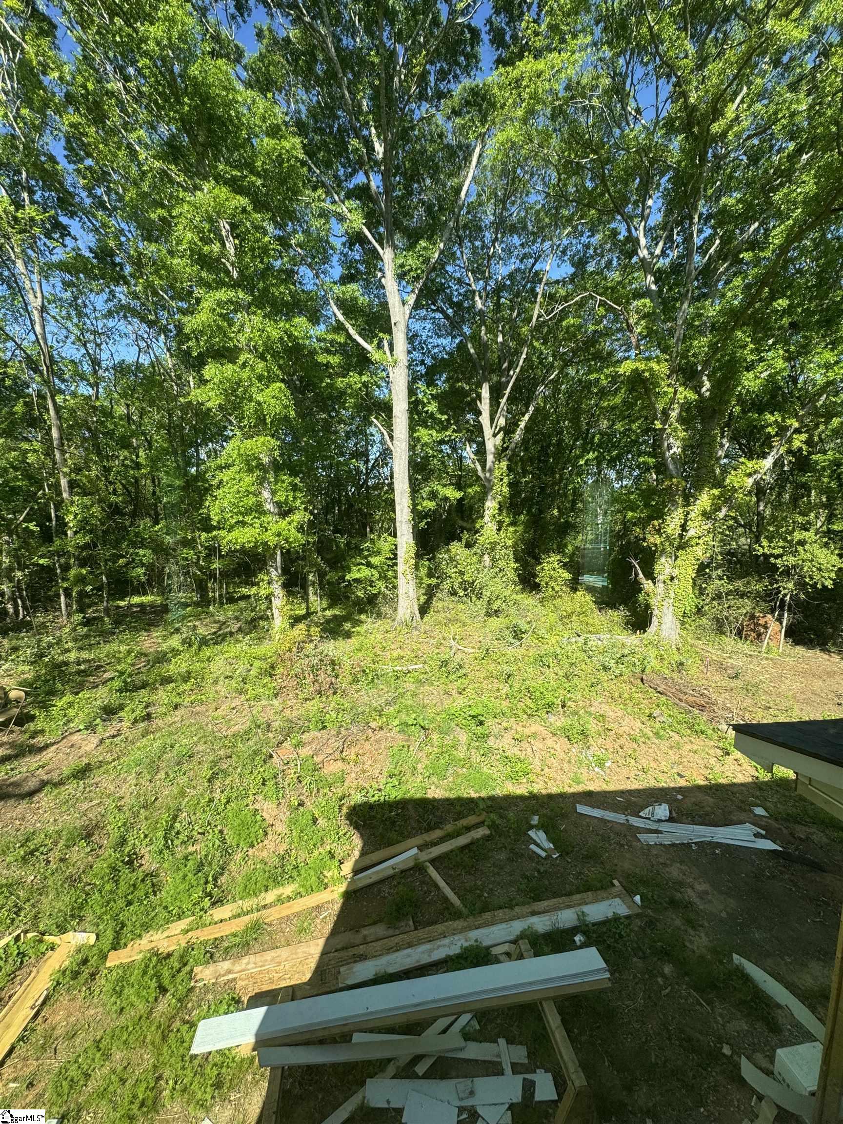 452 Tryon, Spartanburg, South Carolina image 23