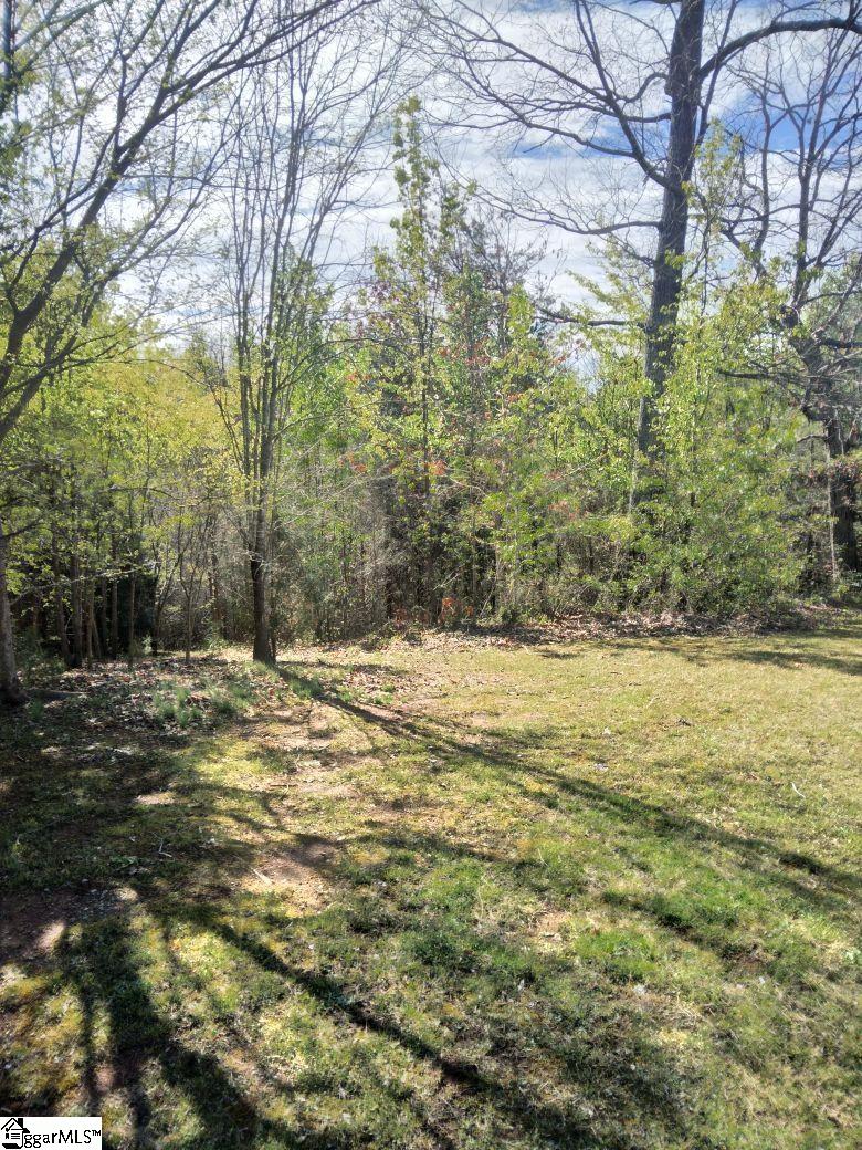 223 Hillsboro, Spartanburg, South Carolina image 1