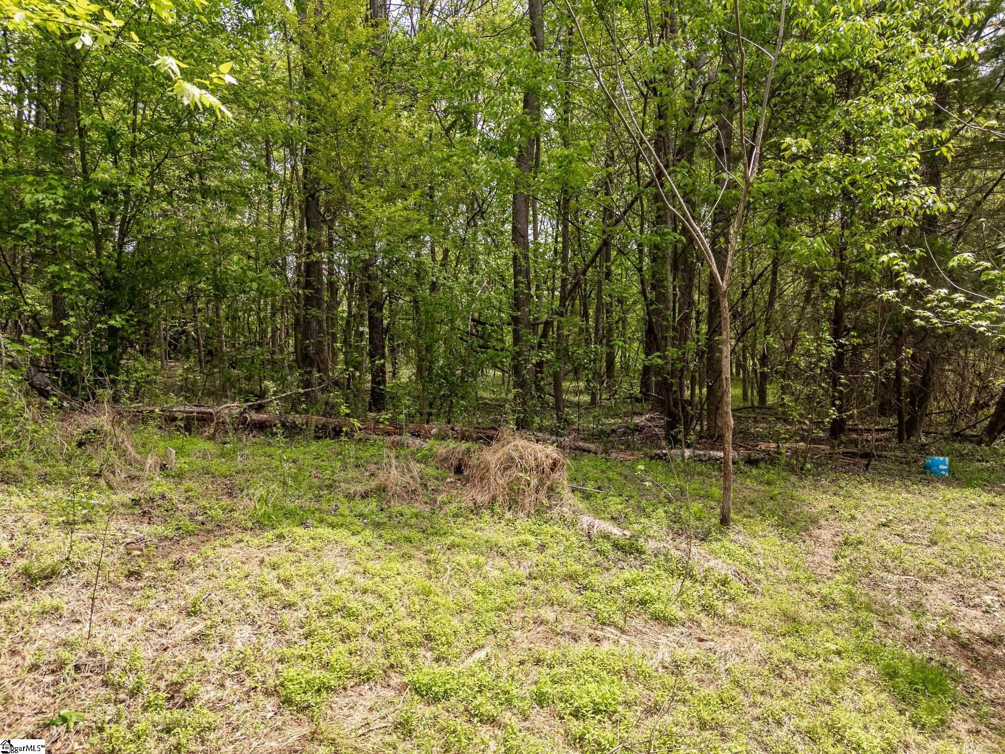 3739 Cowpens Pacolet, Spartanburg, South Carolina image 5