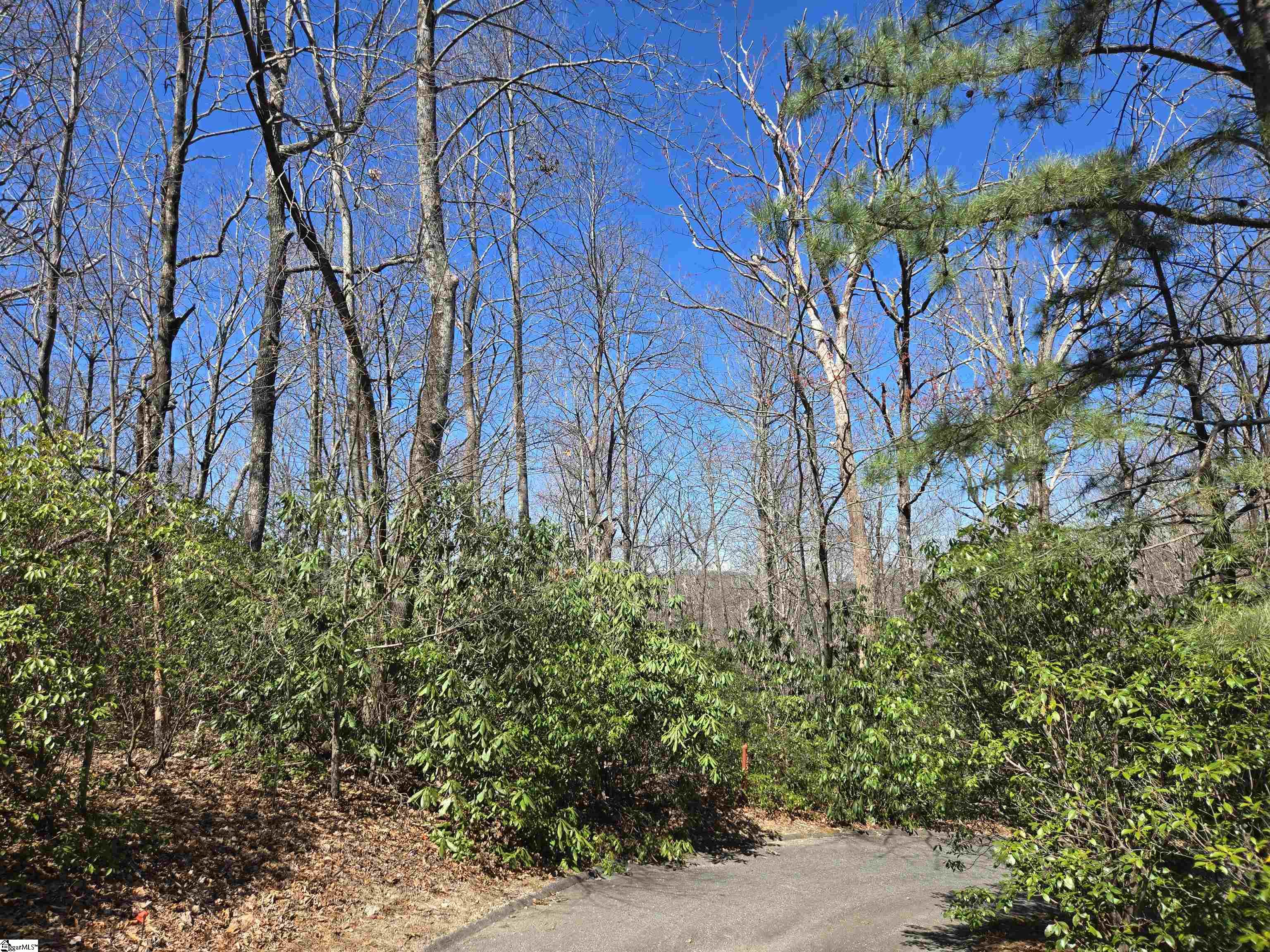 11 Larkspur, Cleveland, South Carolina image 2