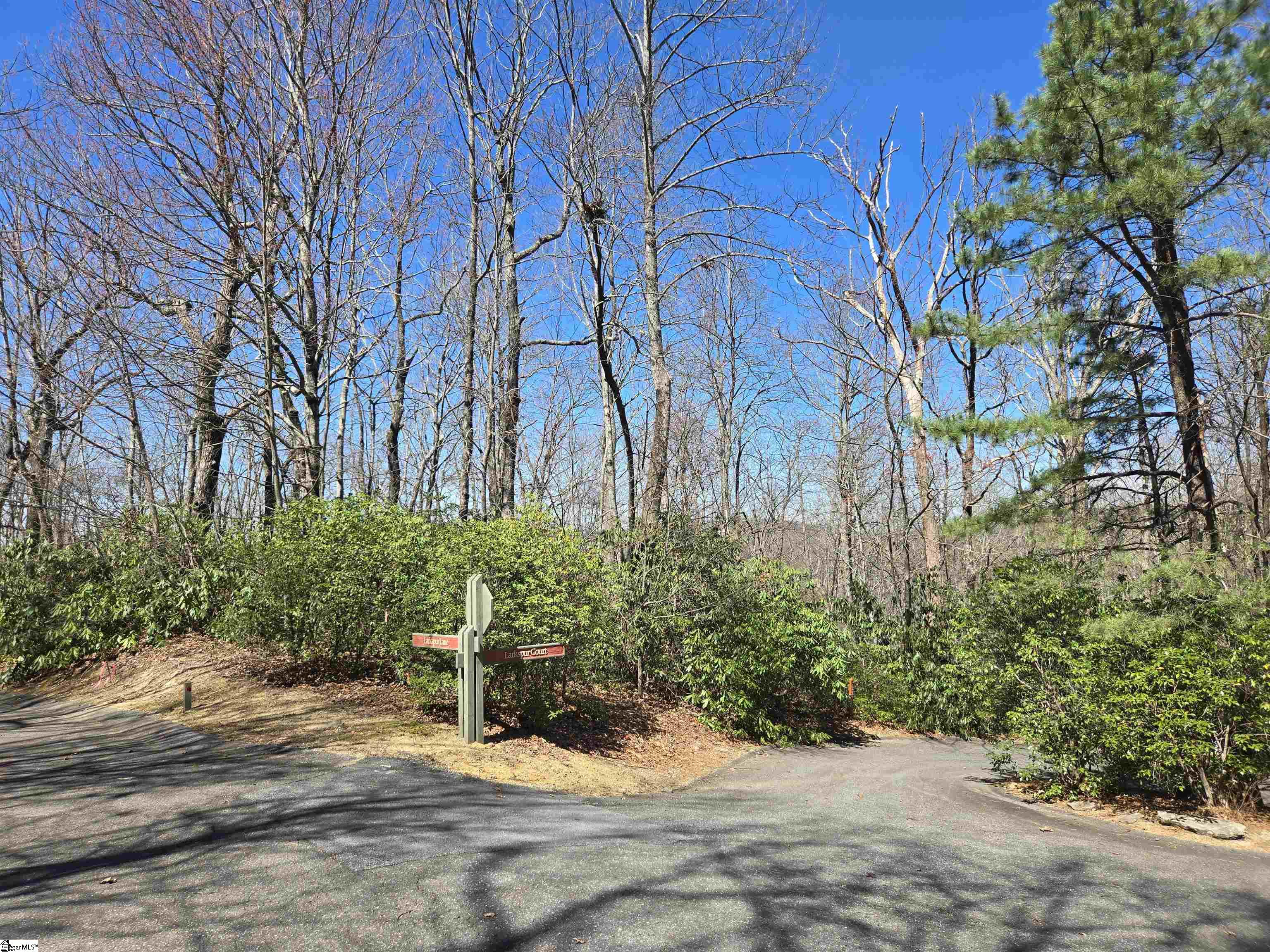 11 Larkspur, Cleveland, South Carolina image 4