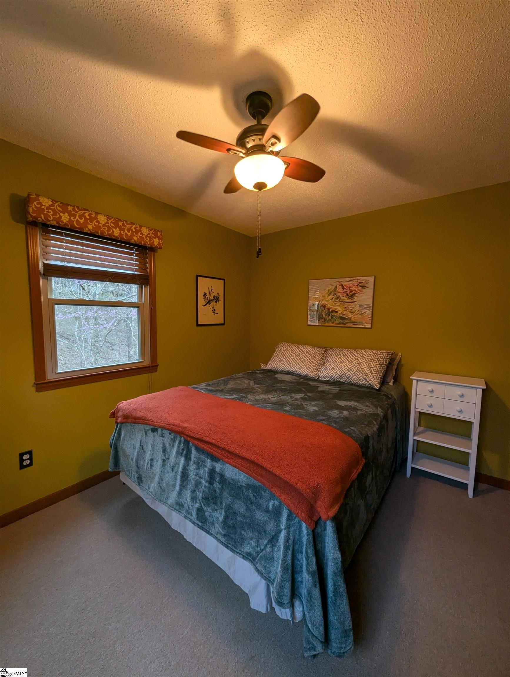 262 Belvoir, Pickens, South Carolina image 13