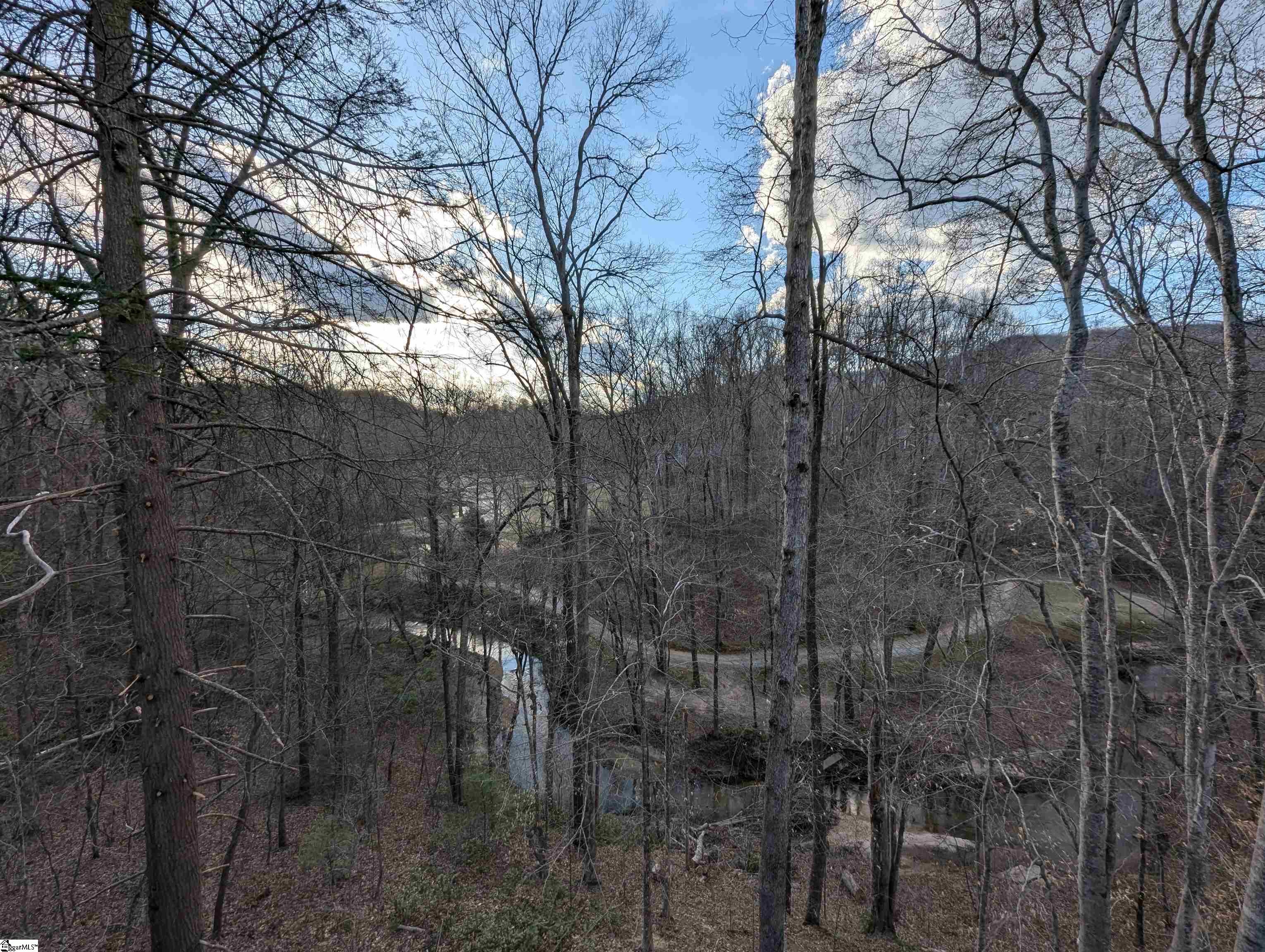 262 Belvoir, Pickens, South Carolina image 29
