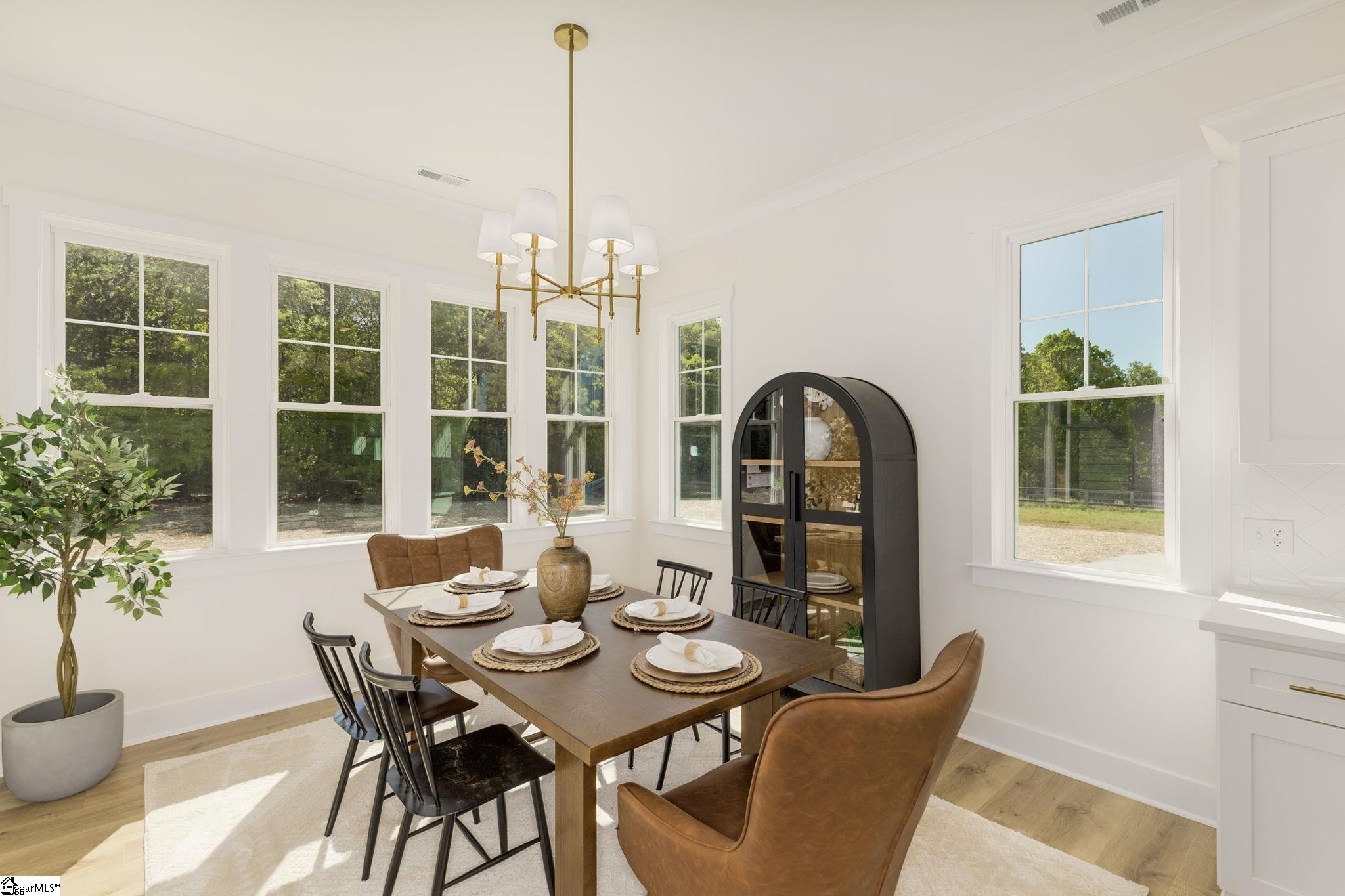 355 Dobbins, Townville, South Carolina image 12