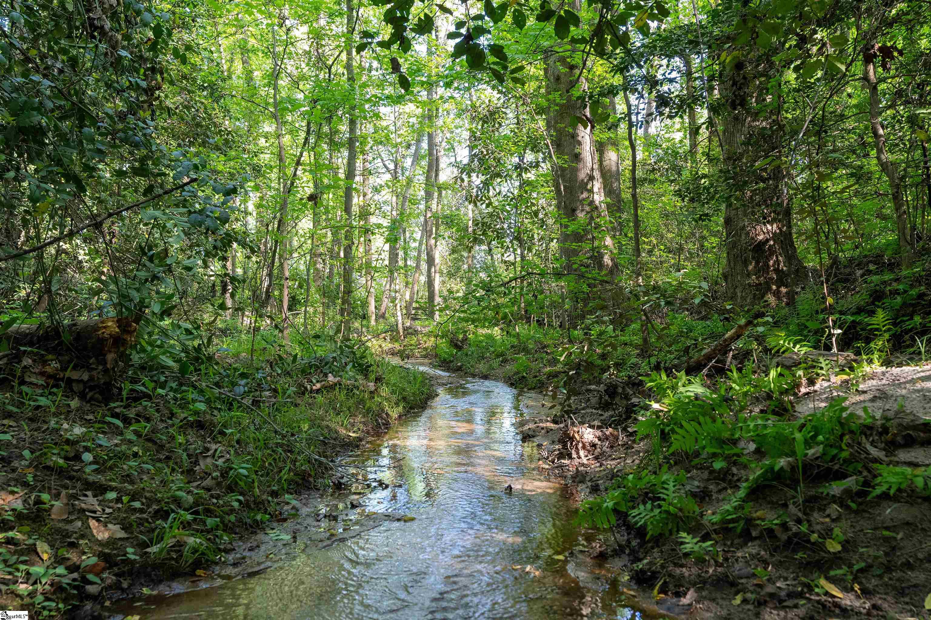 MLS #1554594 image #10