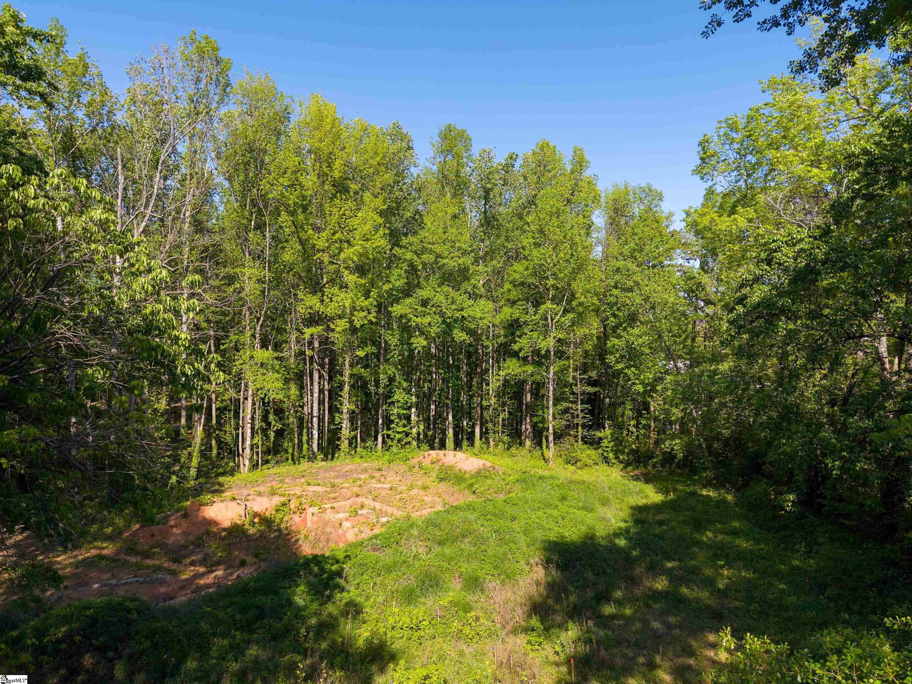 MLS #1554594 image #8