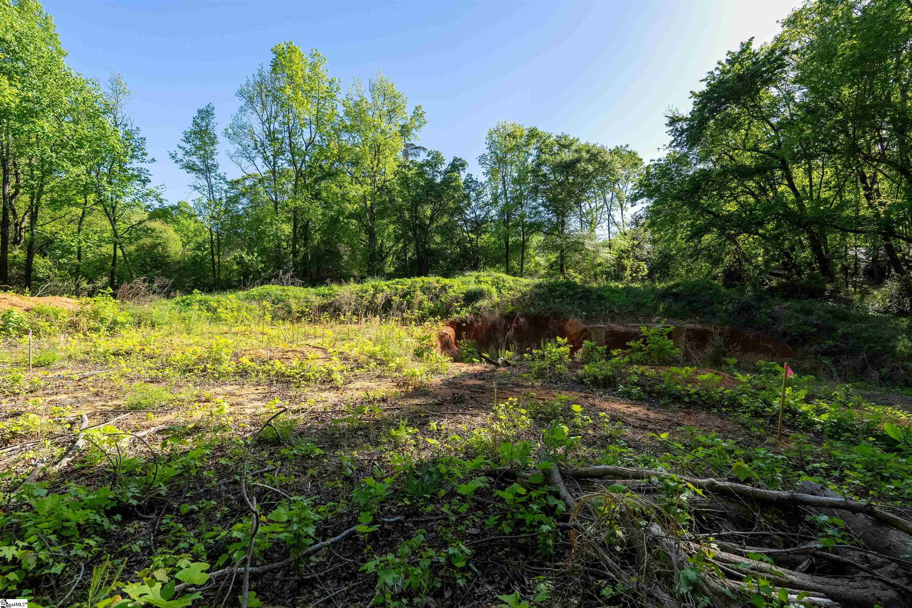 MLS #1554594 image #9