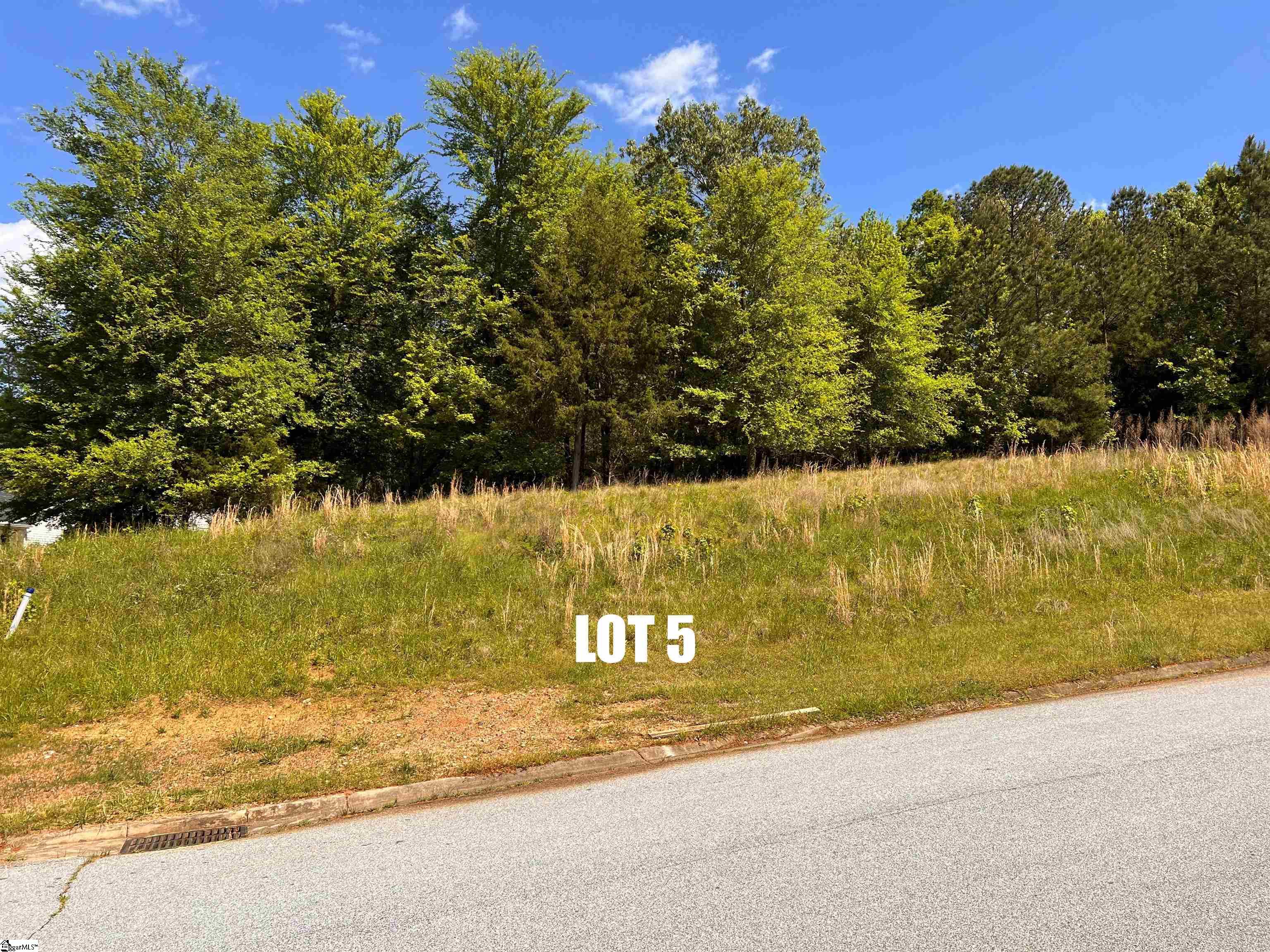 King, Greenwood, South Carolina image 12