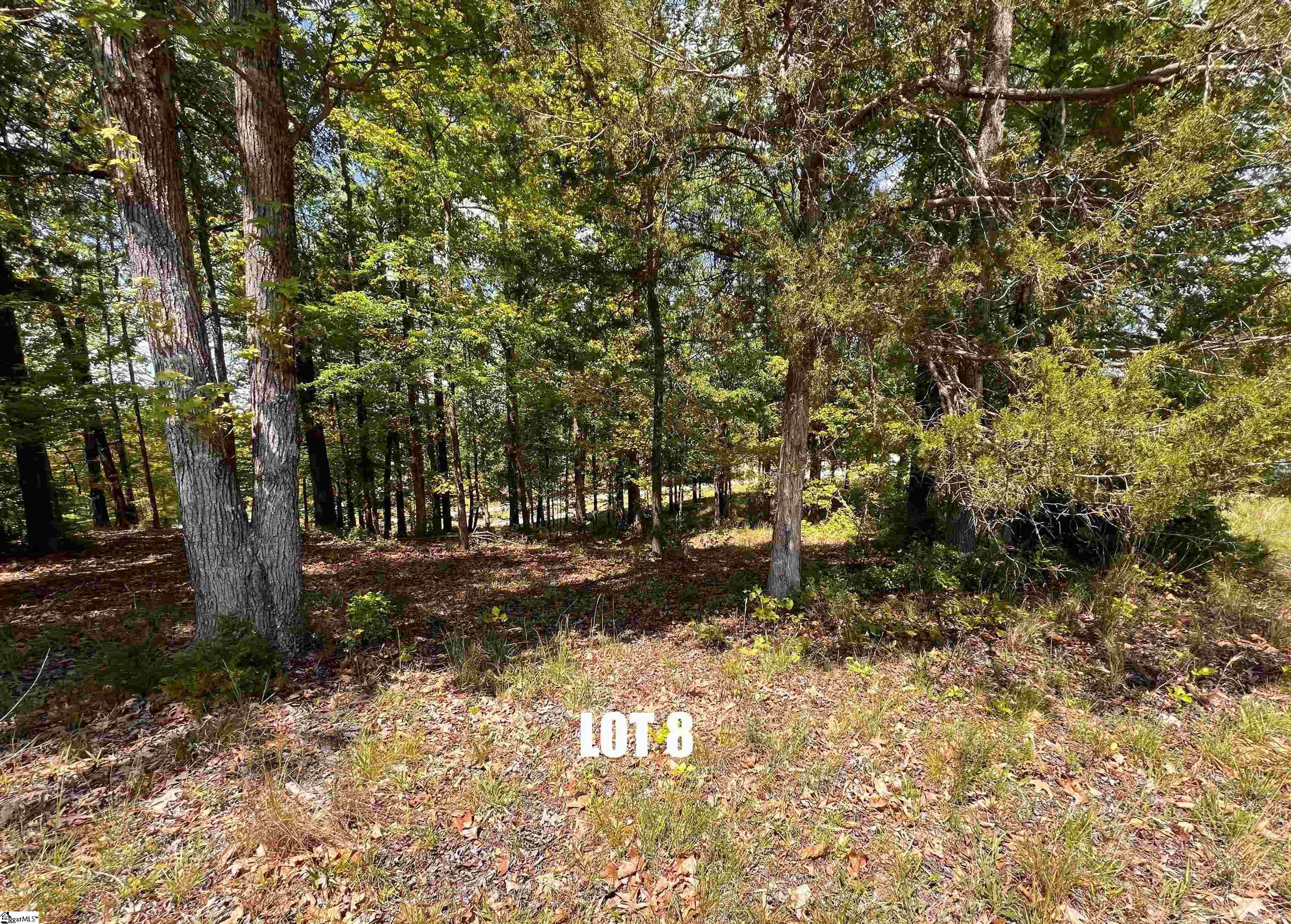 King, Greenwood, South Carolina image 22
