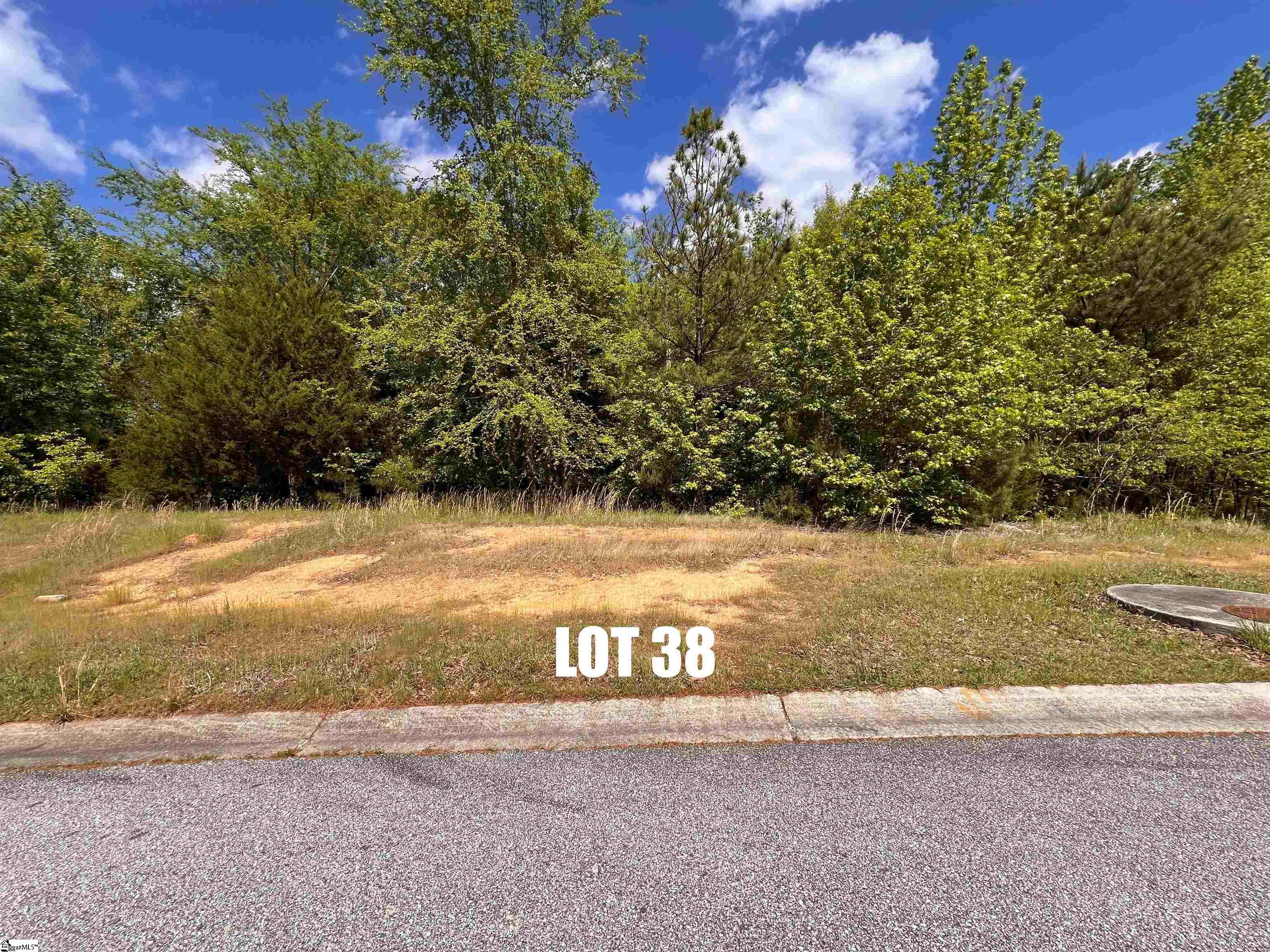 King, Greenwood, South Carolina image 26