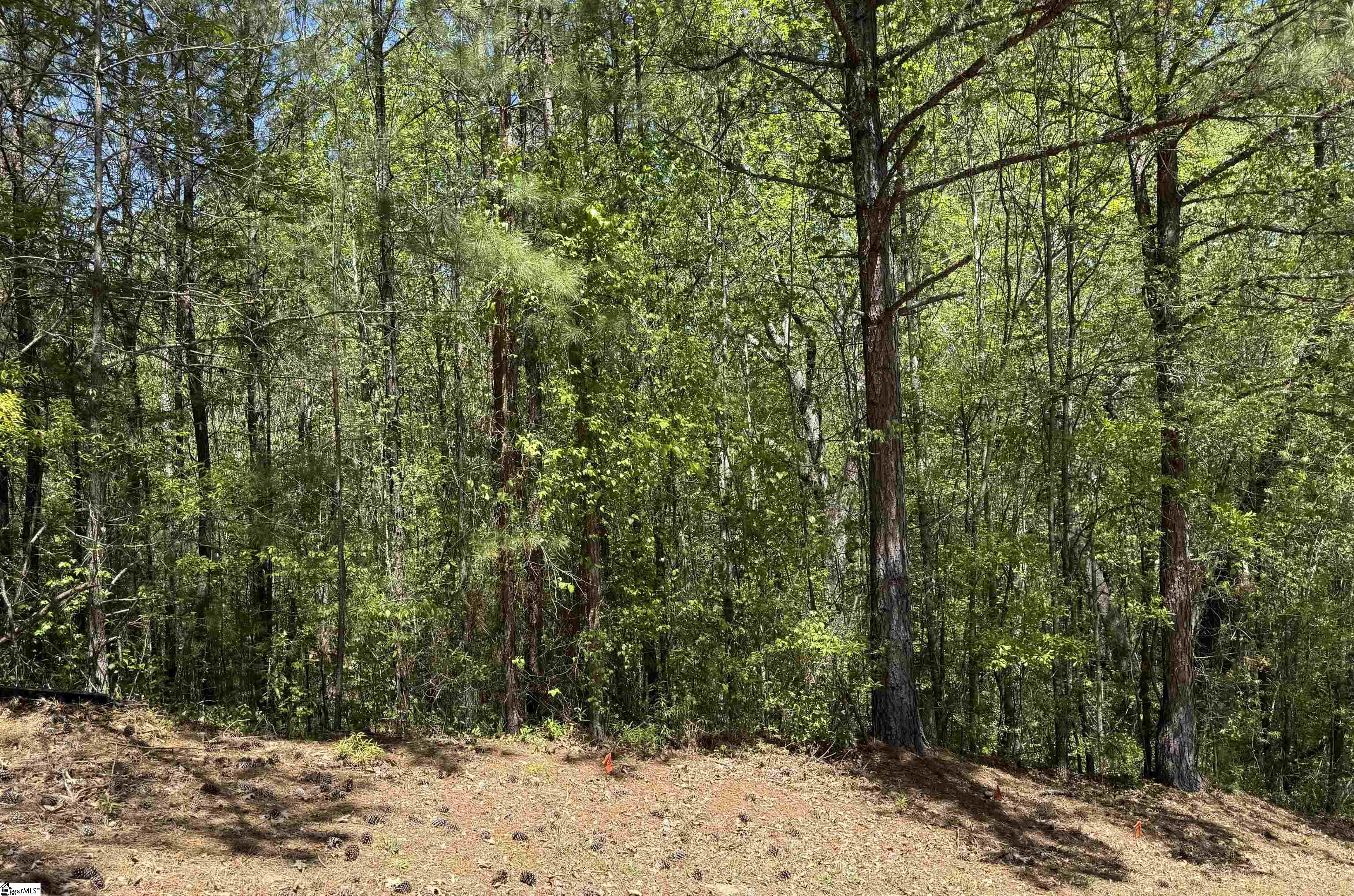 125 Breckenridge, Six Mile, South Carolina image 1