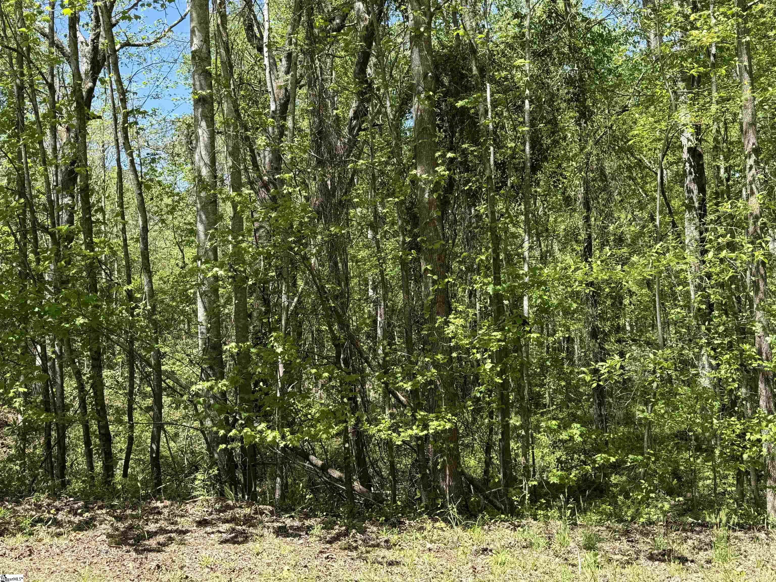 125 Breckenridge, Six Mile, South Carolina image 2