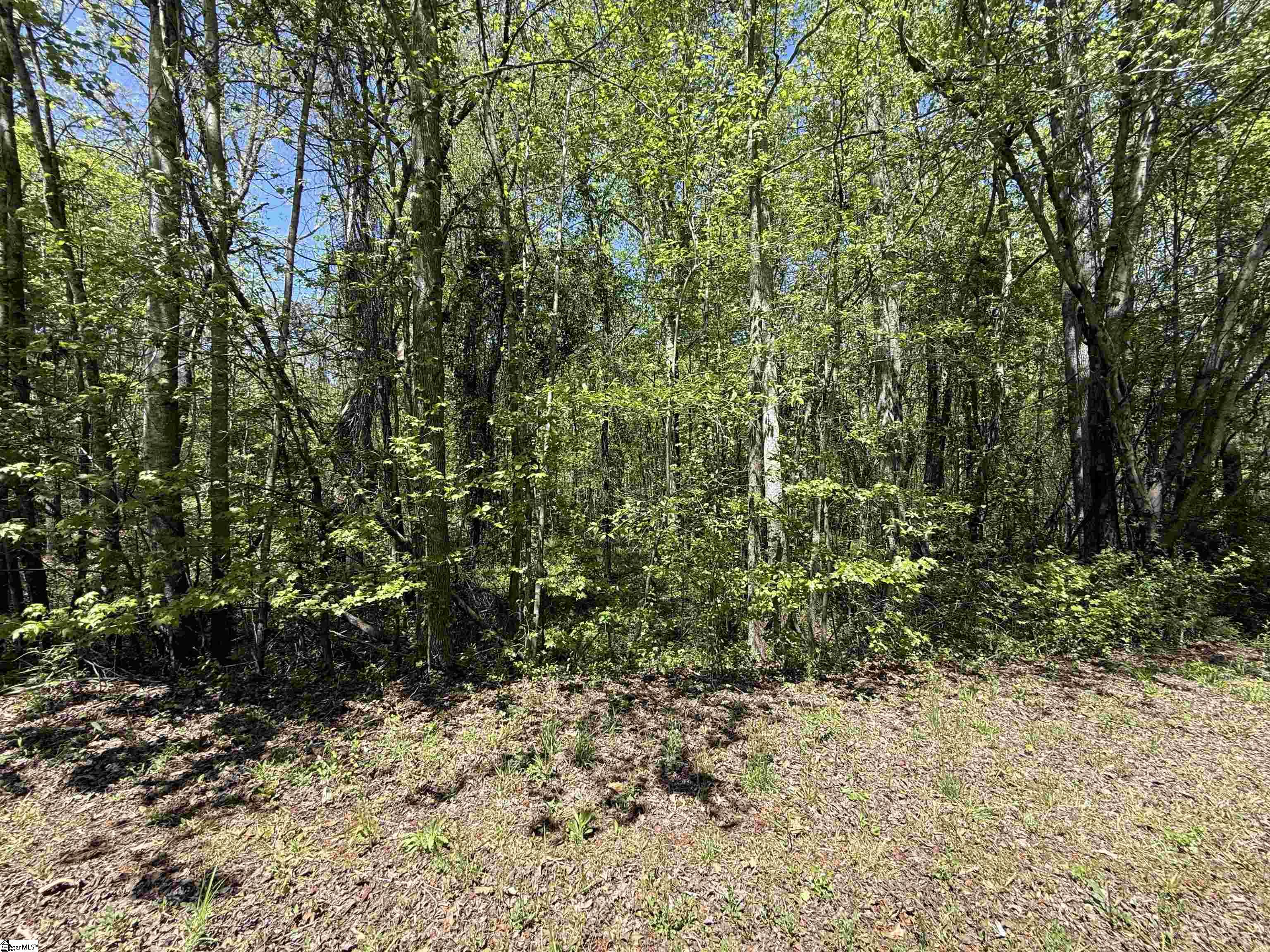 125 Breckenridge, Six Mile, South Carolina image 4