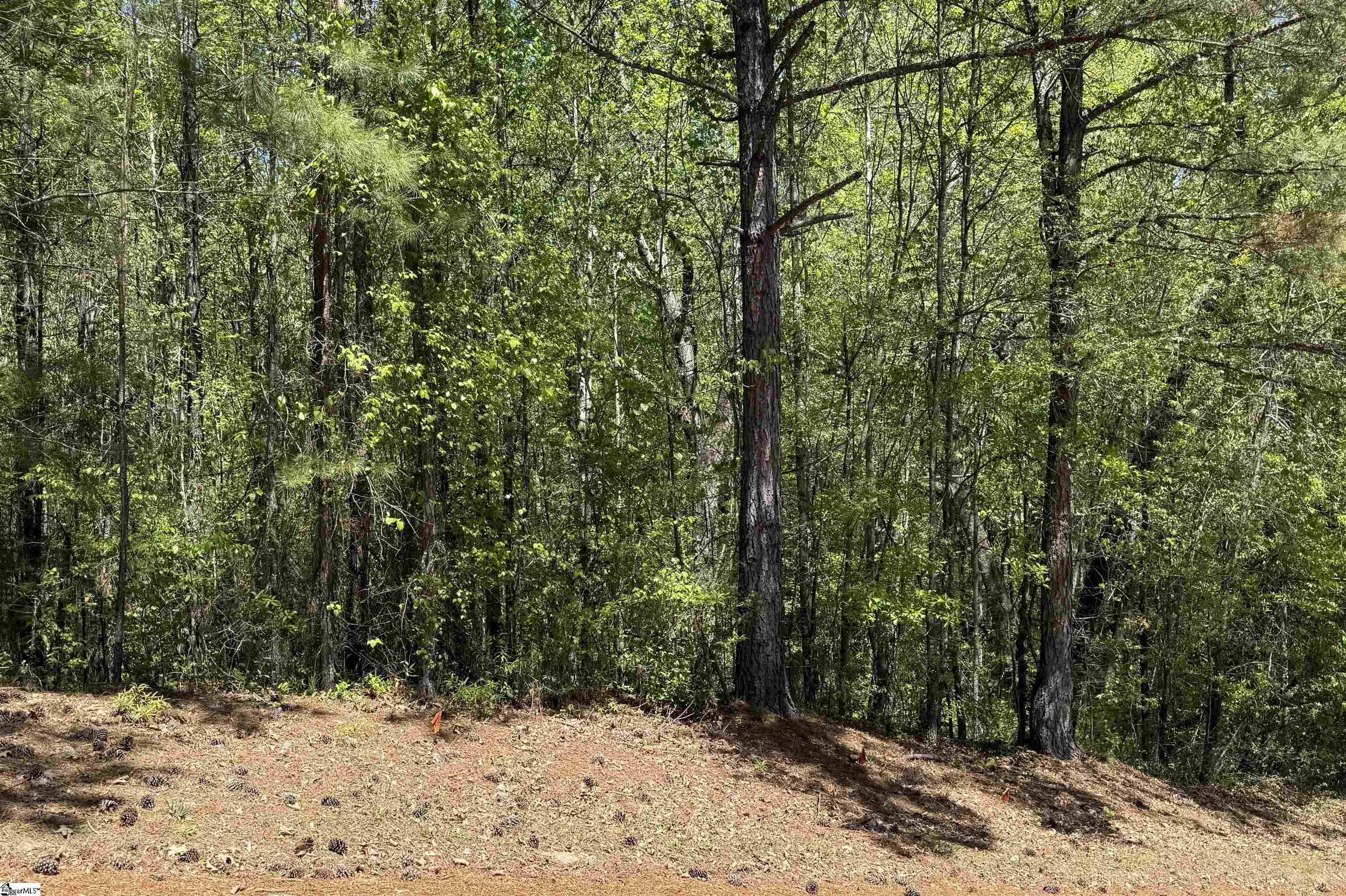 125 Breckenridge, Six Mile, South Carolina image 5
