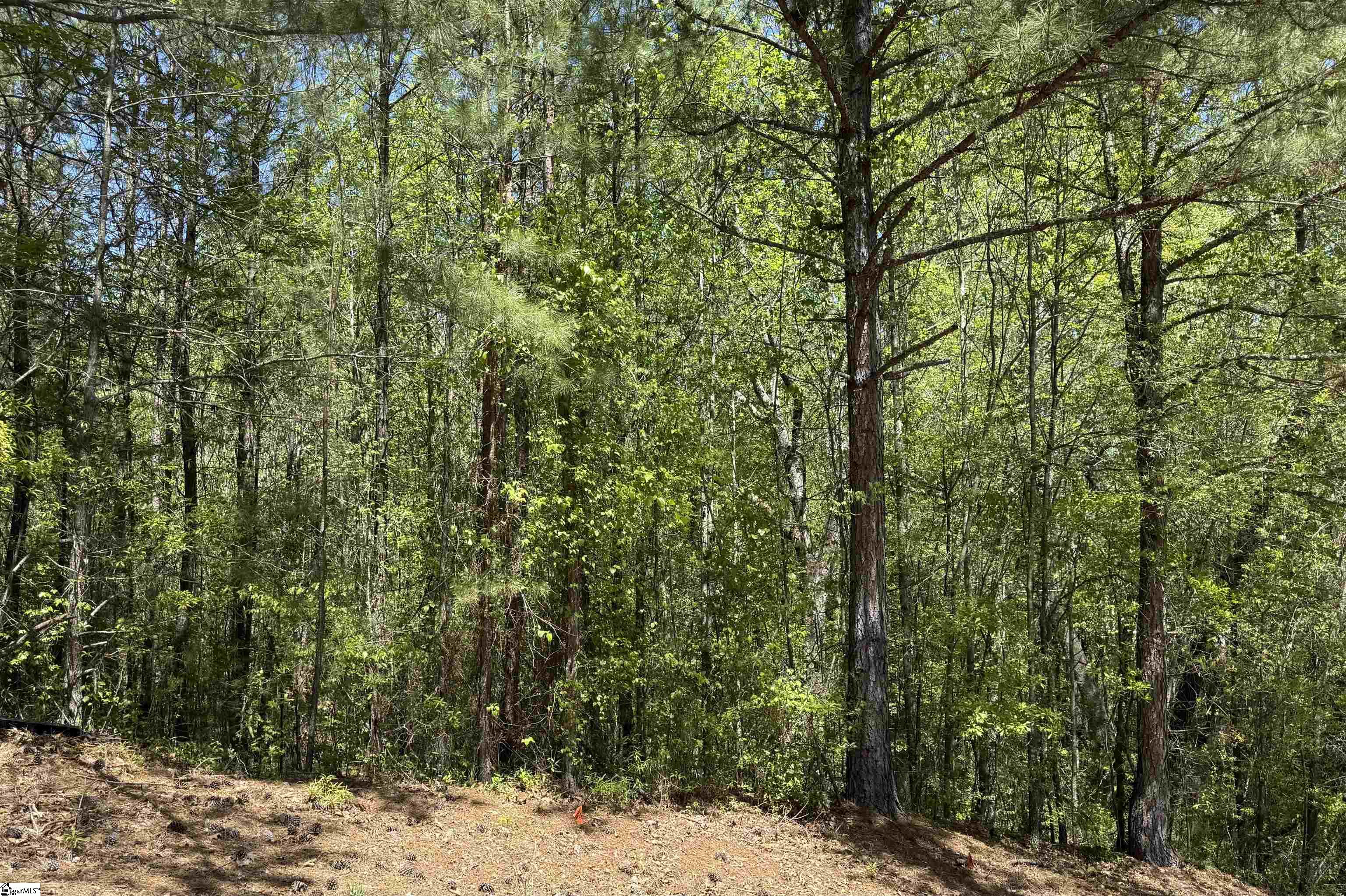 125 Breckenridge, Six Mile, South Carolina image 7