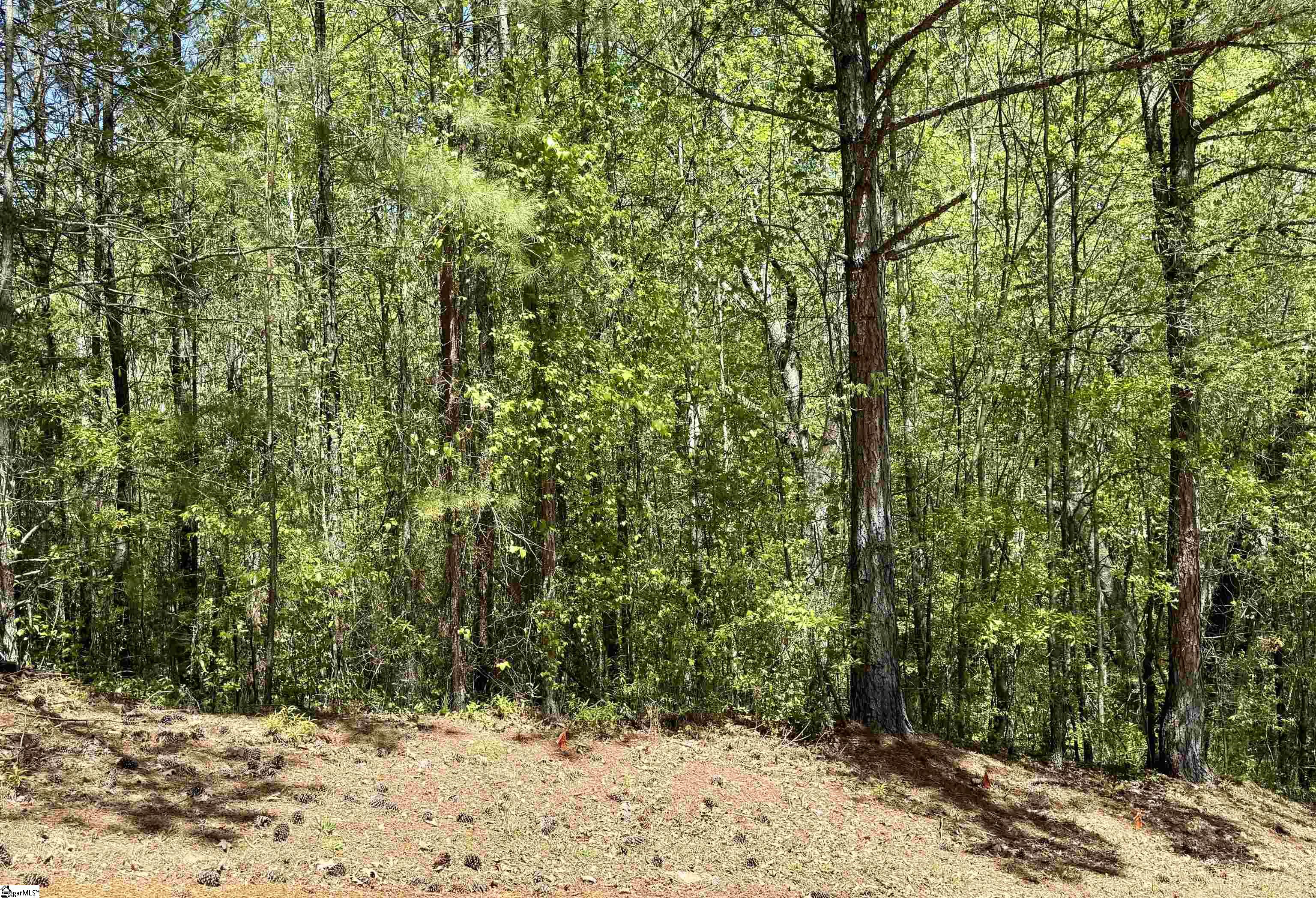 125 Breckenridge, Six Mile, South Carolina image 8