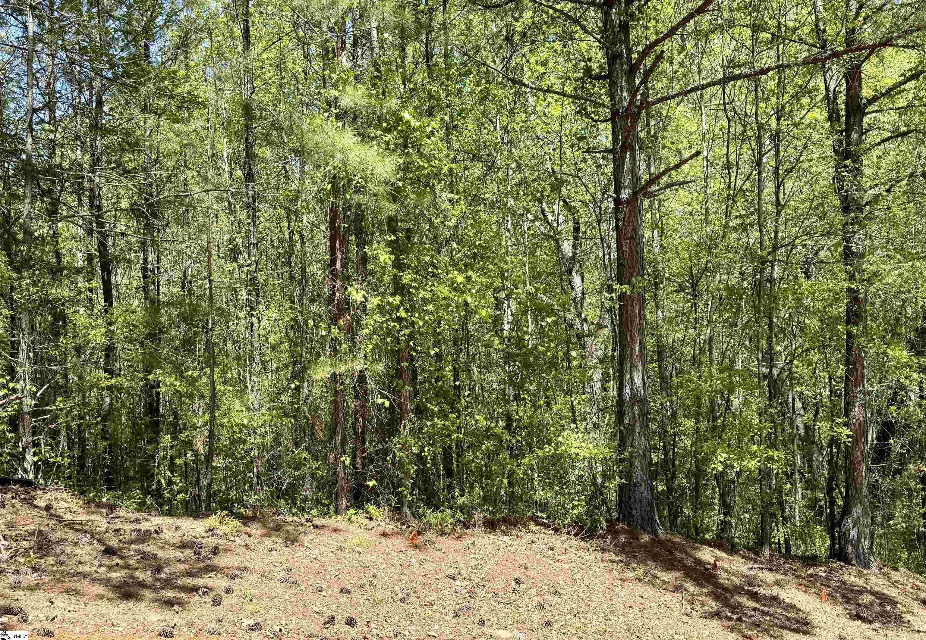 125 Breckenridge, Six Mile, South Carolina image 9