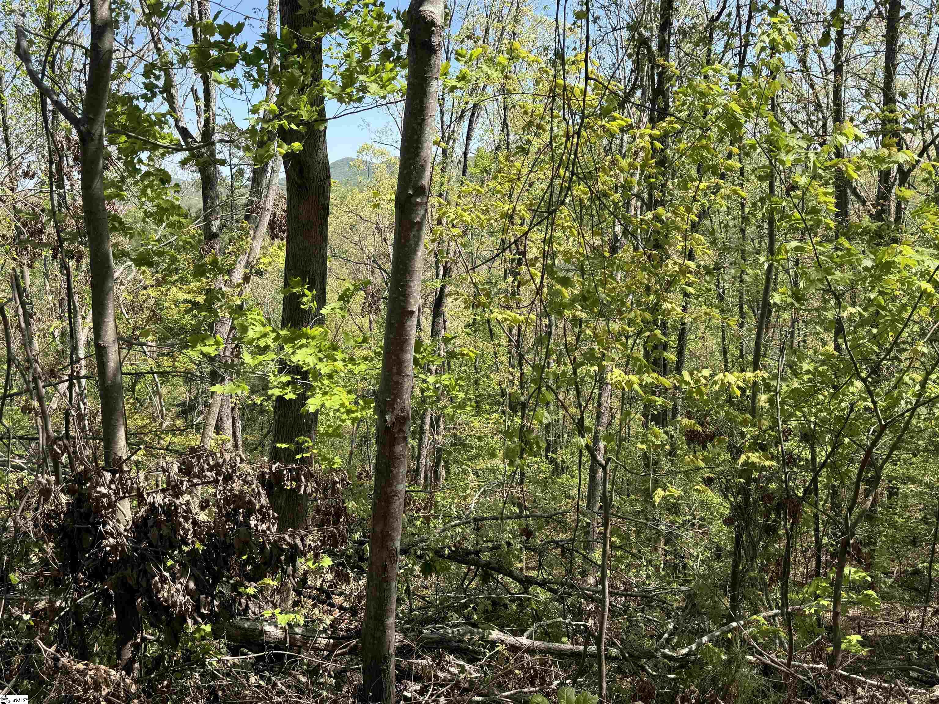 113 Stone Creek, Pickens, South Carolina image 1