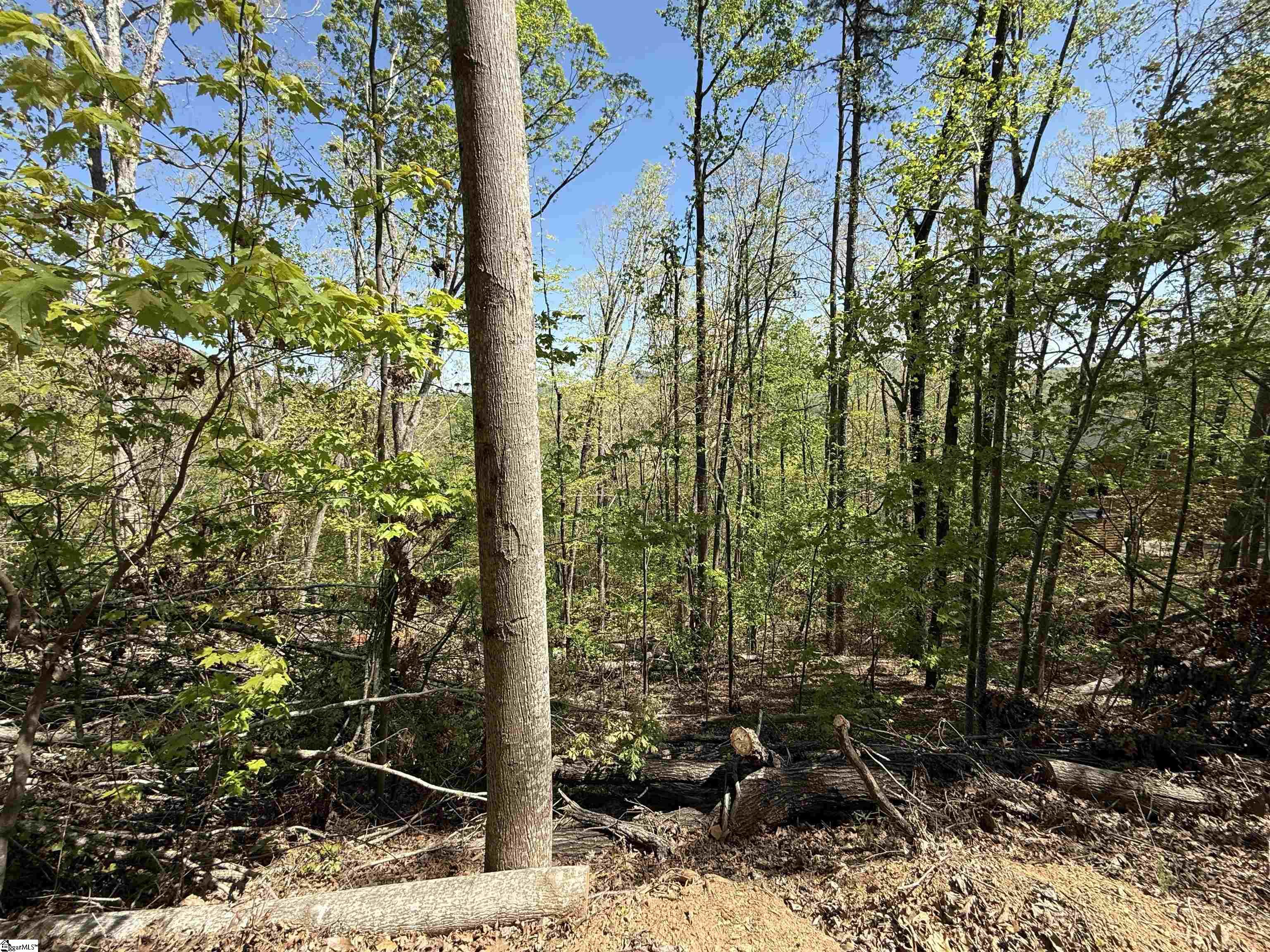 113 Stone Creek, Pickens, South Carolina image 2